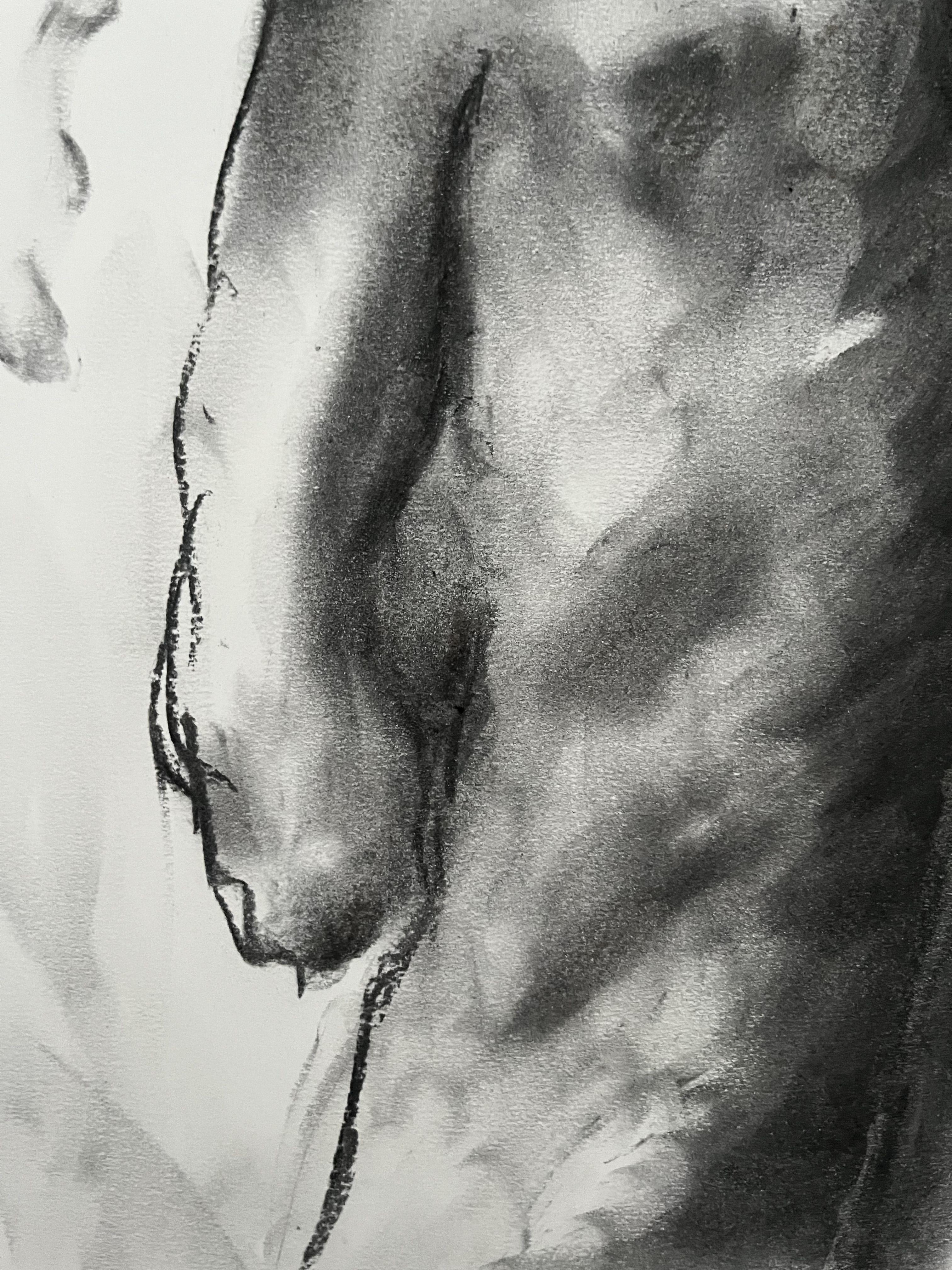 Sonido del silencio, Dibujo, Carboncillo sobre papel en venta 2