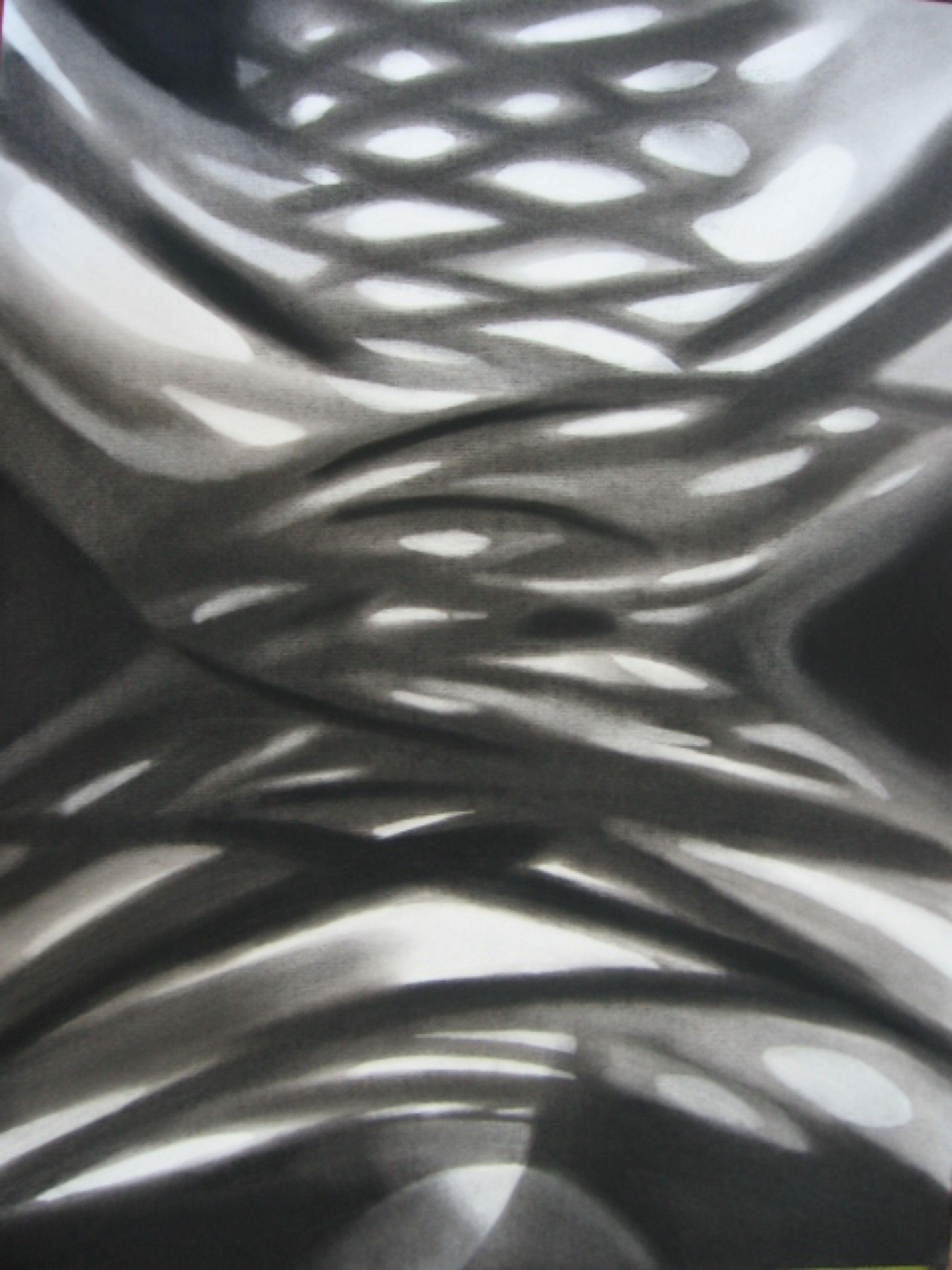 Anyck Alvarez Kerloch Abstract Drawing - Celosia, Drawing, Charcoal on Paper
