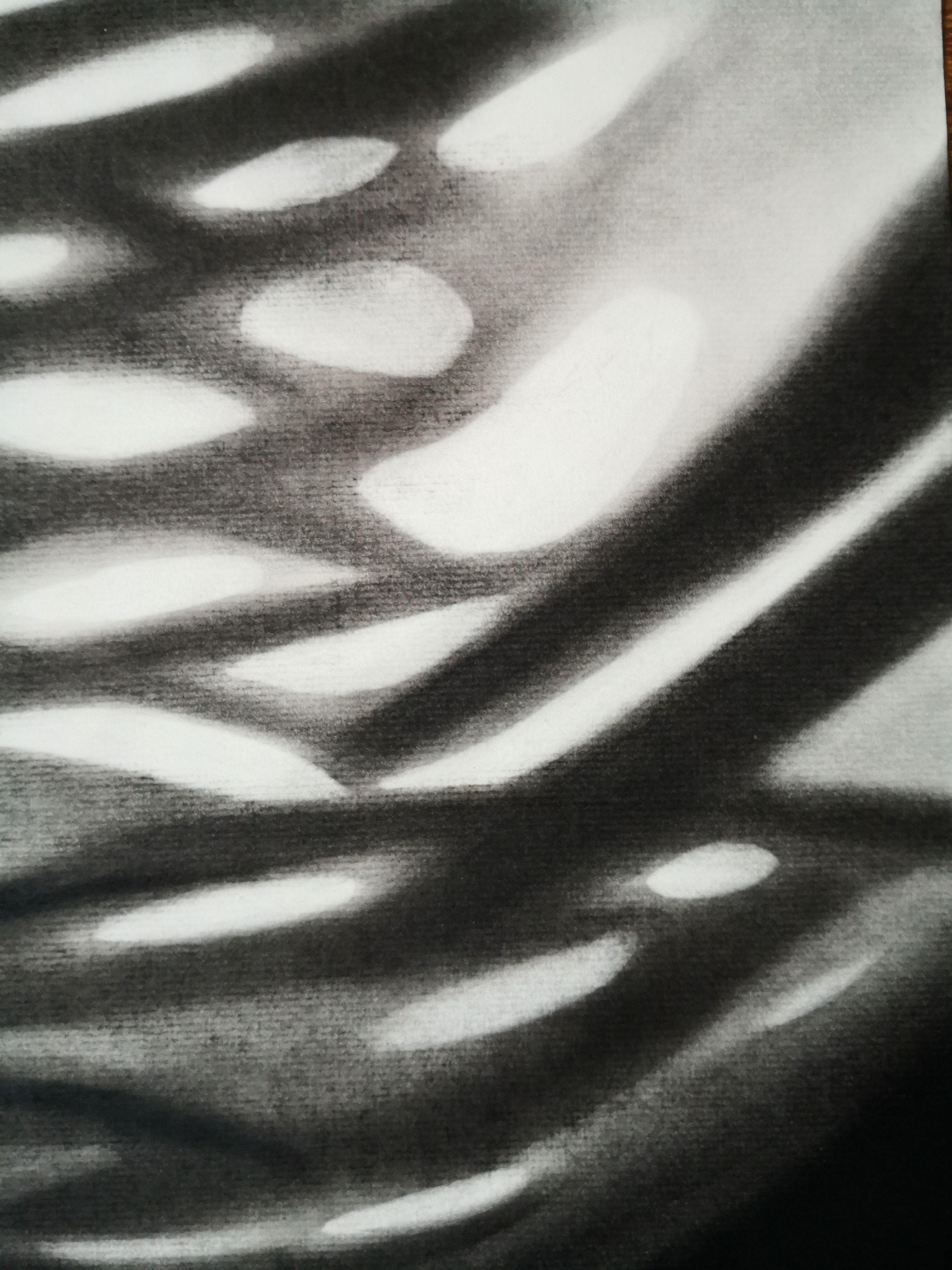 Celosia, Drawing, Charcoal on Paper - Art by Anyck Alvarez Kerloch