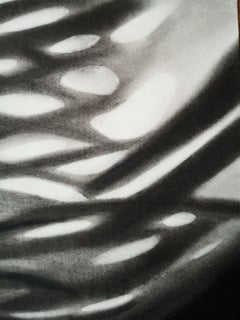 Celosia, Zeichnung, Kohle auf Papier