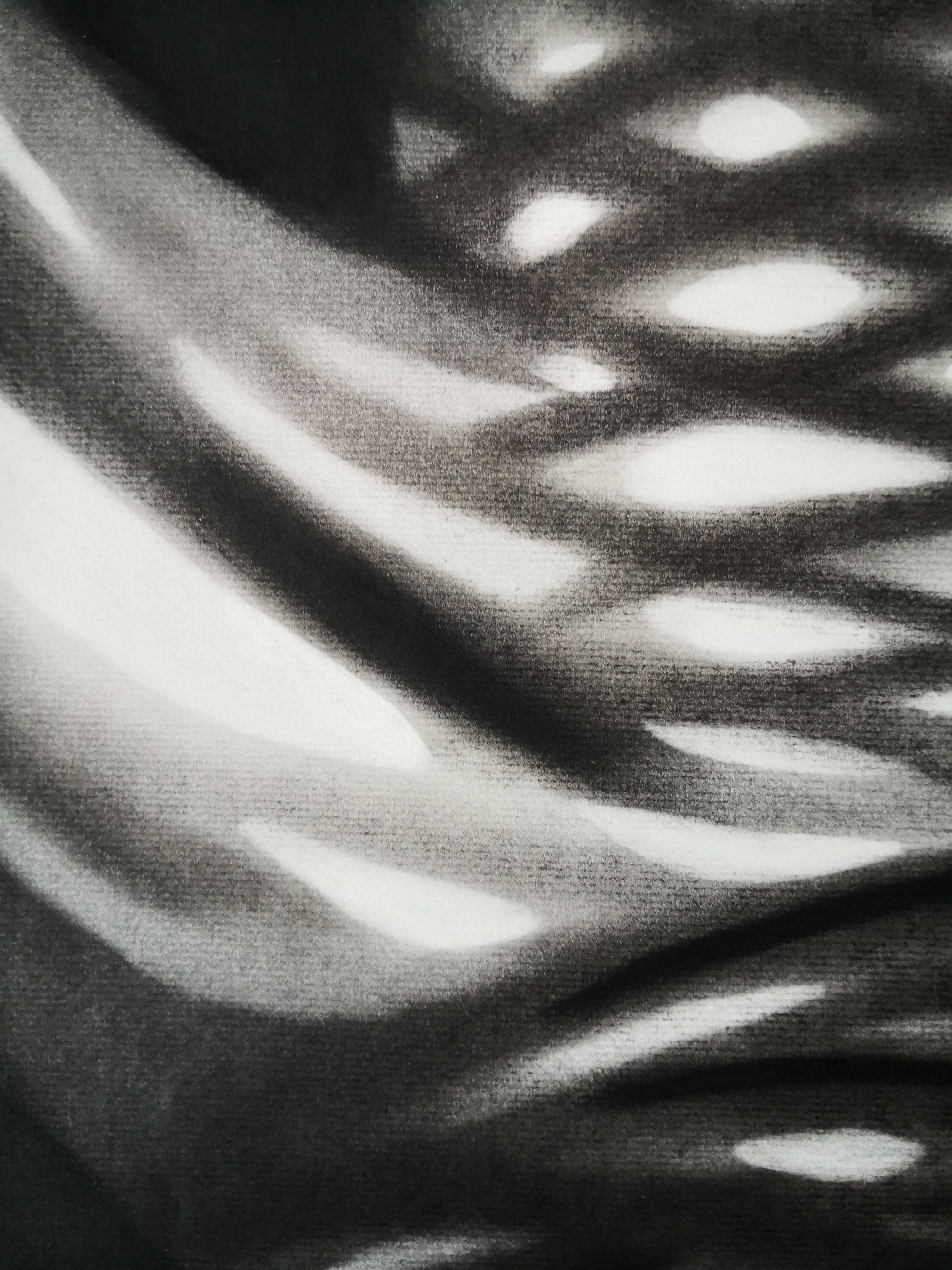 Celosia, Drawing, Charcoal on Paper - Abstract Art by Anyck Alvarez Kerloch