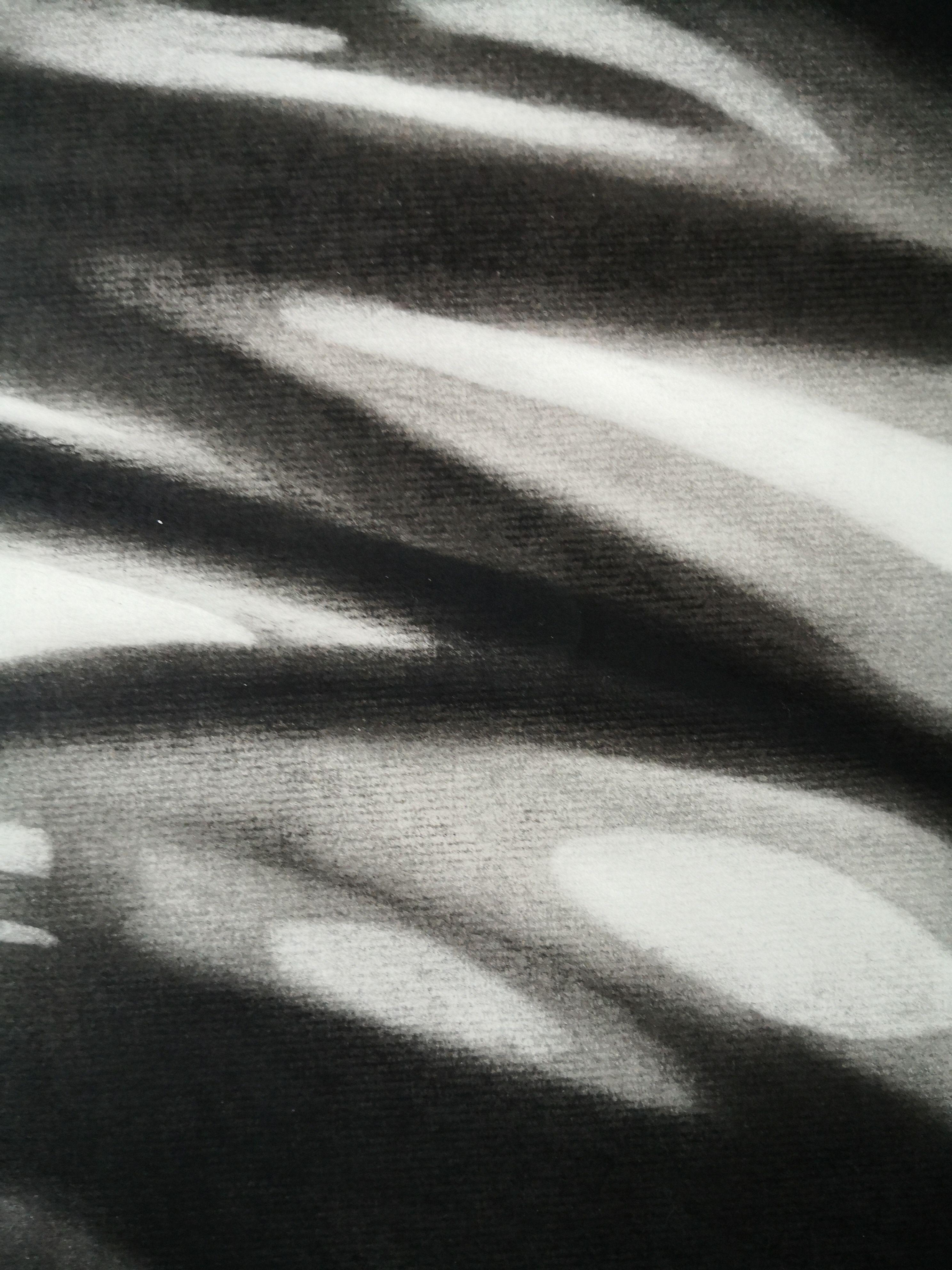 Celosia, Drawing, Charcoal on Paper - Black Abstract Drawing by Anyck Alvarez Kerloch