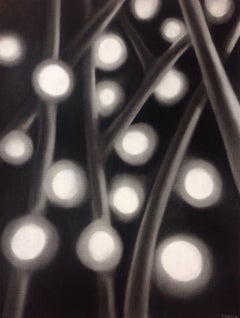 First Snow, Drawing, Charcoal on Paper