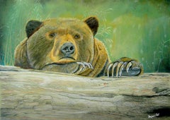 Brown Bear, Drawing, Pencil/Colored Pencil on Paper