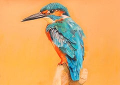 Kingfisher, Drawing, Pencil/Colored Pencil on Paper