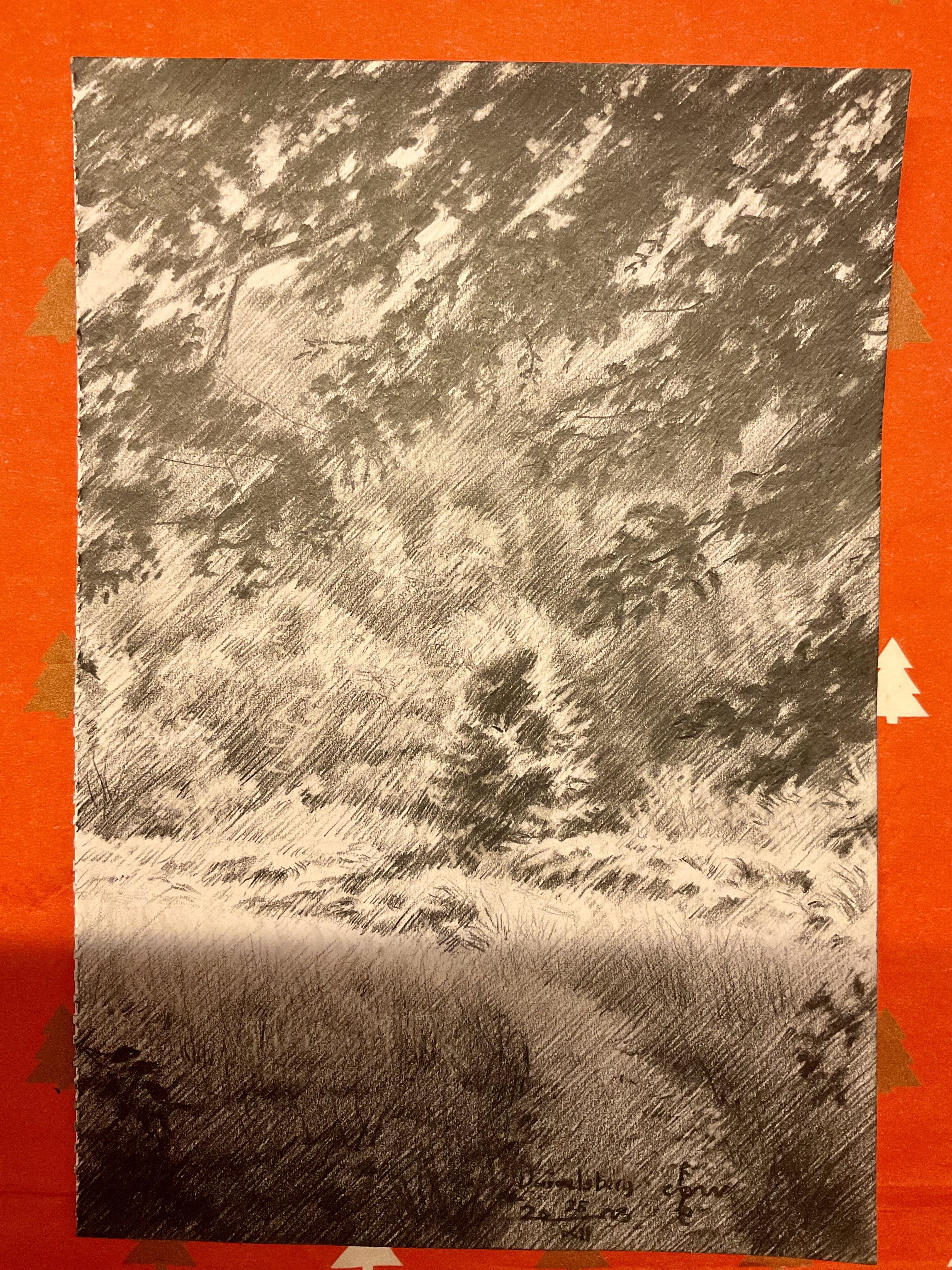 Newest Addition     This graphite pencil drawing â€˜Duivelsberg â€“ 25-12-23â€™ is my newest addition to my ever growing Berg en Dal Series. Last pastel was great to do and I am inspired enough to expand the series with new ones. The scenery has