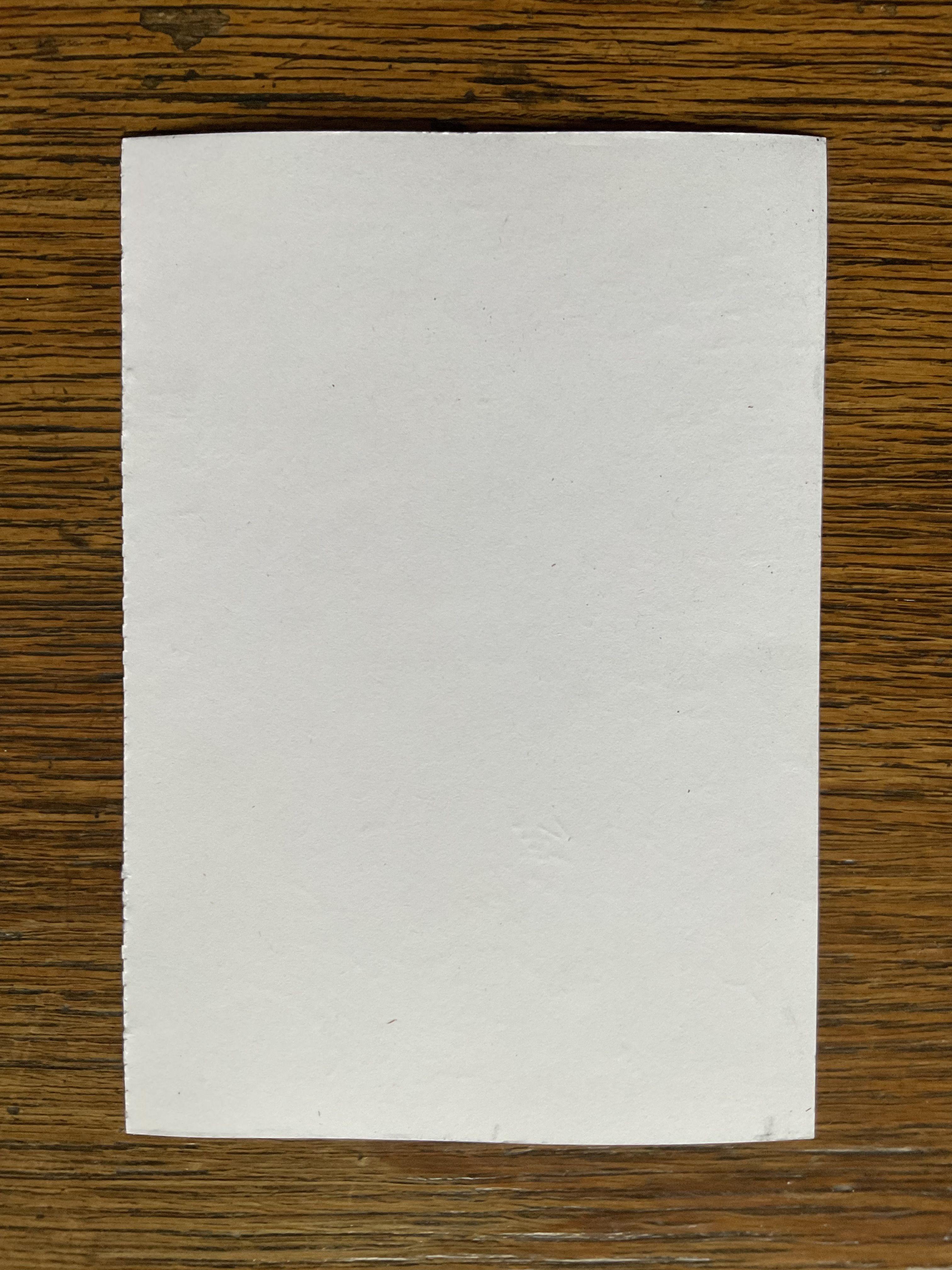 Clingendael â€ 15-11-23, Zeichnung, Bleistift/Farbstift auf Papier (Impressionismus), Art, von Corne Akkers