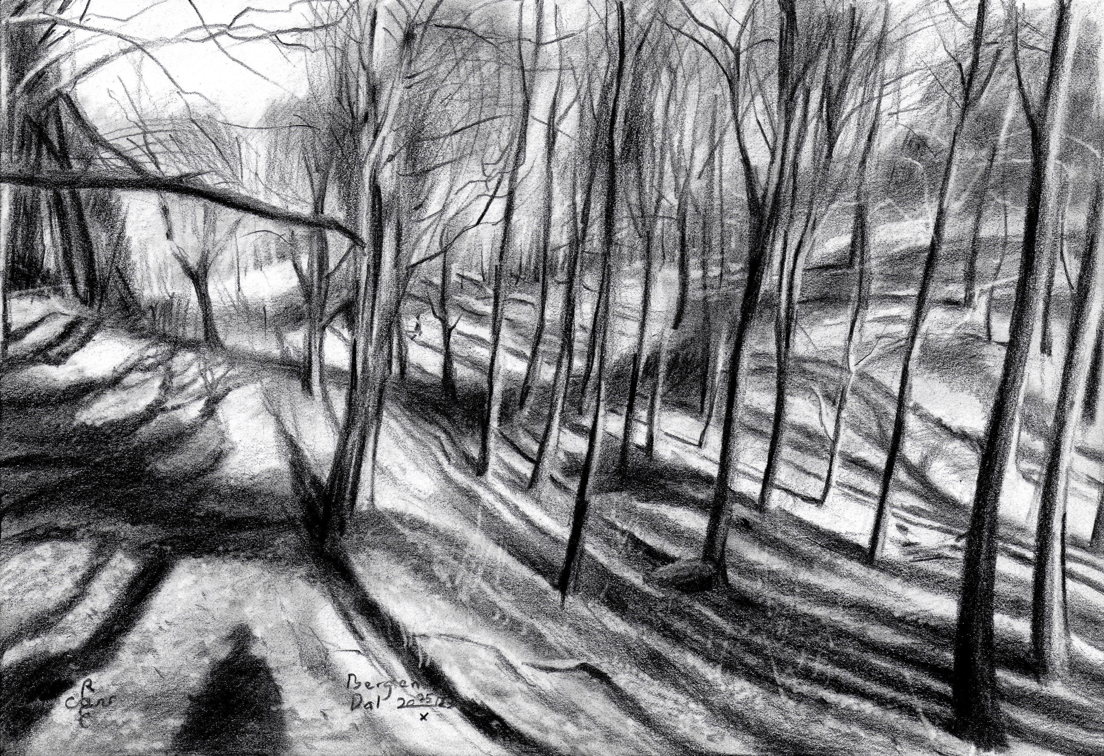 Berg en Dal - 25-10-23, Disegno, Matita/Matita colorata su carta