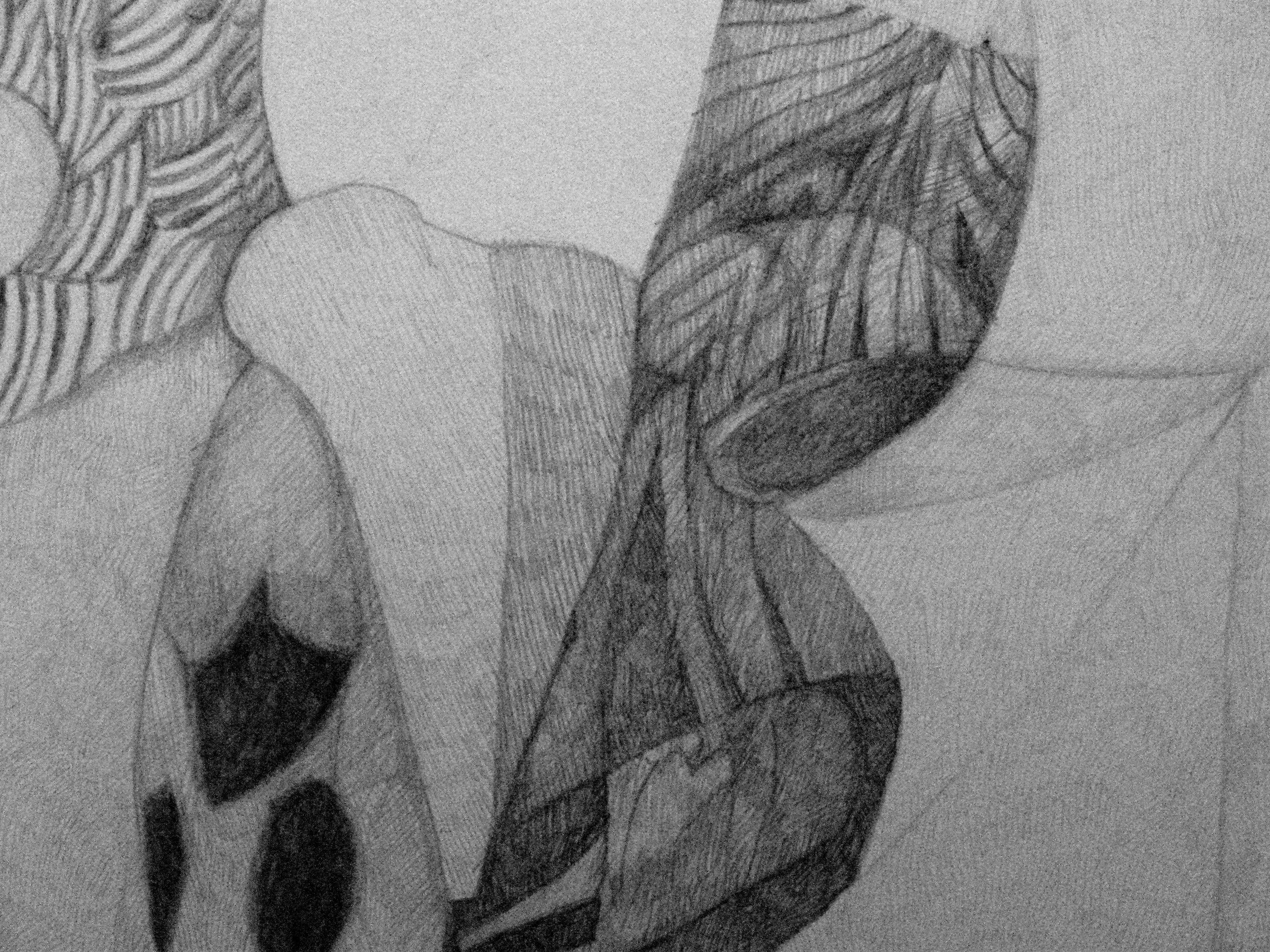 Frenzy, Drawing, Pencil/Colored Pencil on Paper - Art by Craig Moran