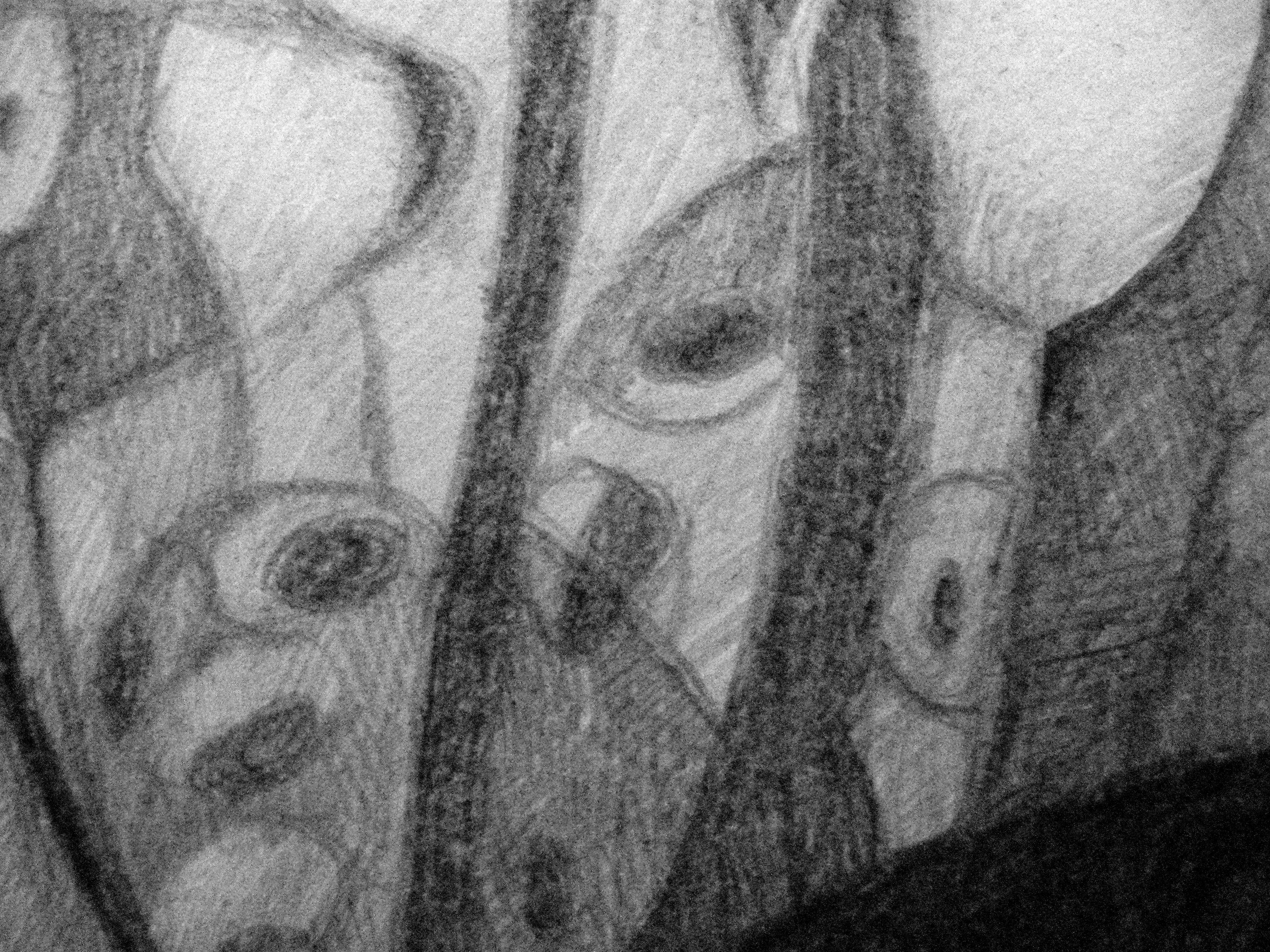 Frenzy, Drawing, Pencil/Colored Pencil on Paper - Gray Abstract Drawing by Craig Moran