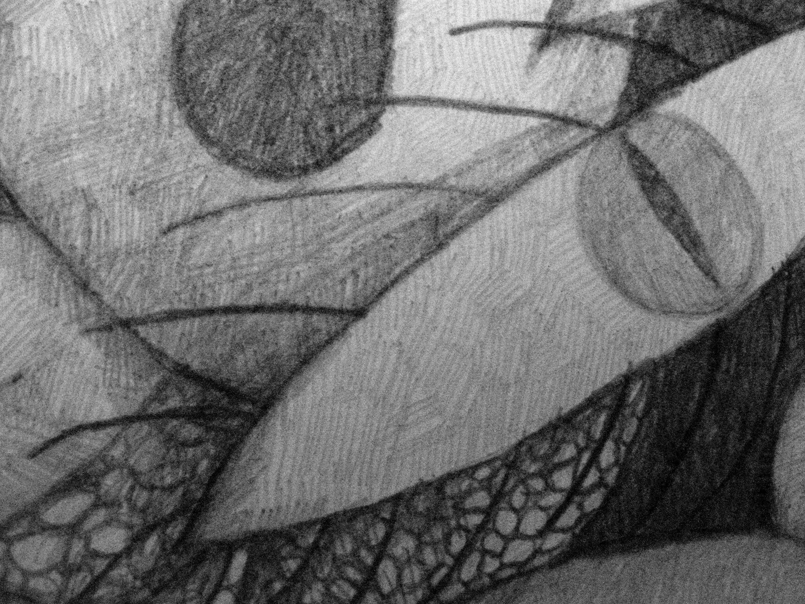 Believe it or not, most of the inspirations for this drawing were ordinary objects such as wood grain and shadows. No preparatory sketches were used for the figures and shapes in the background.  :: Drawing :: Abstract :: This piece comes with an