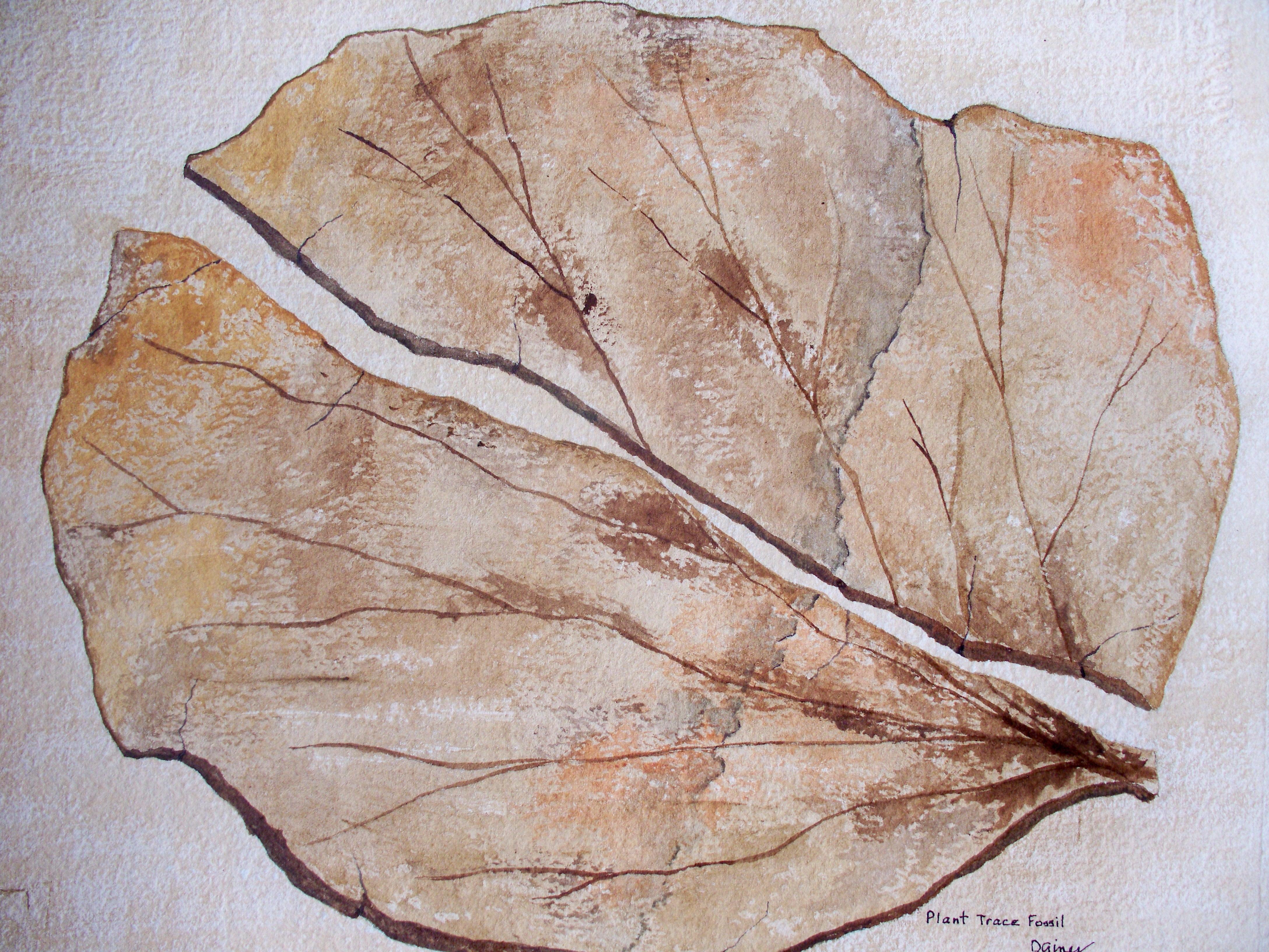 Trace Fossil Leaf, Painting, Watercolor on Paper - Art by Deon Gines