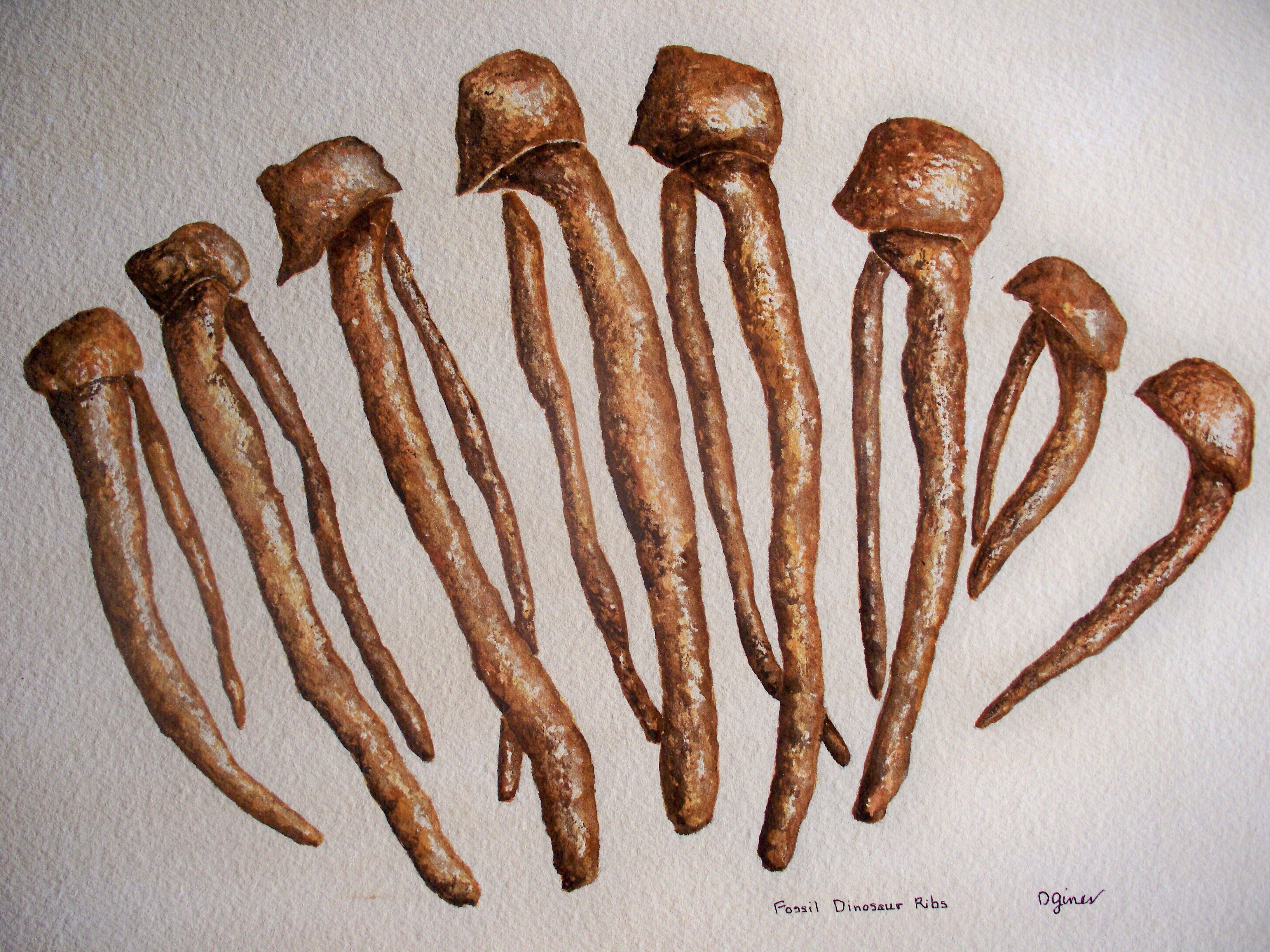 Fossil Dinosaur Ribs, Painting, Watercolor on Paper - Realist Art by Deon Gines
