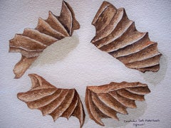 Ceratodus Tooth Plates Fossil, Painting, Watercolor on Paper