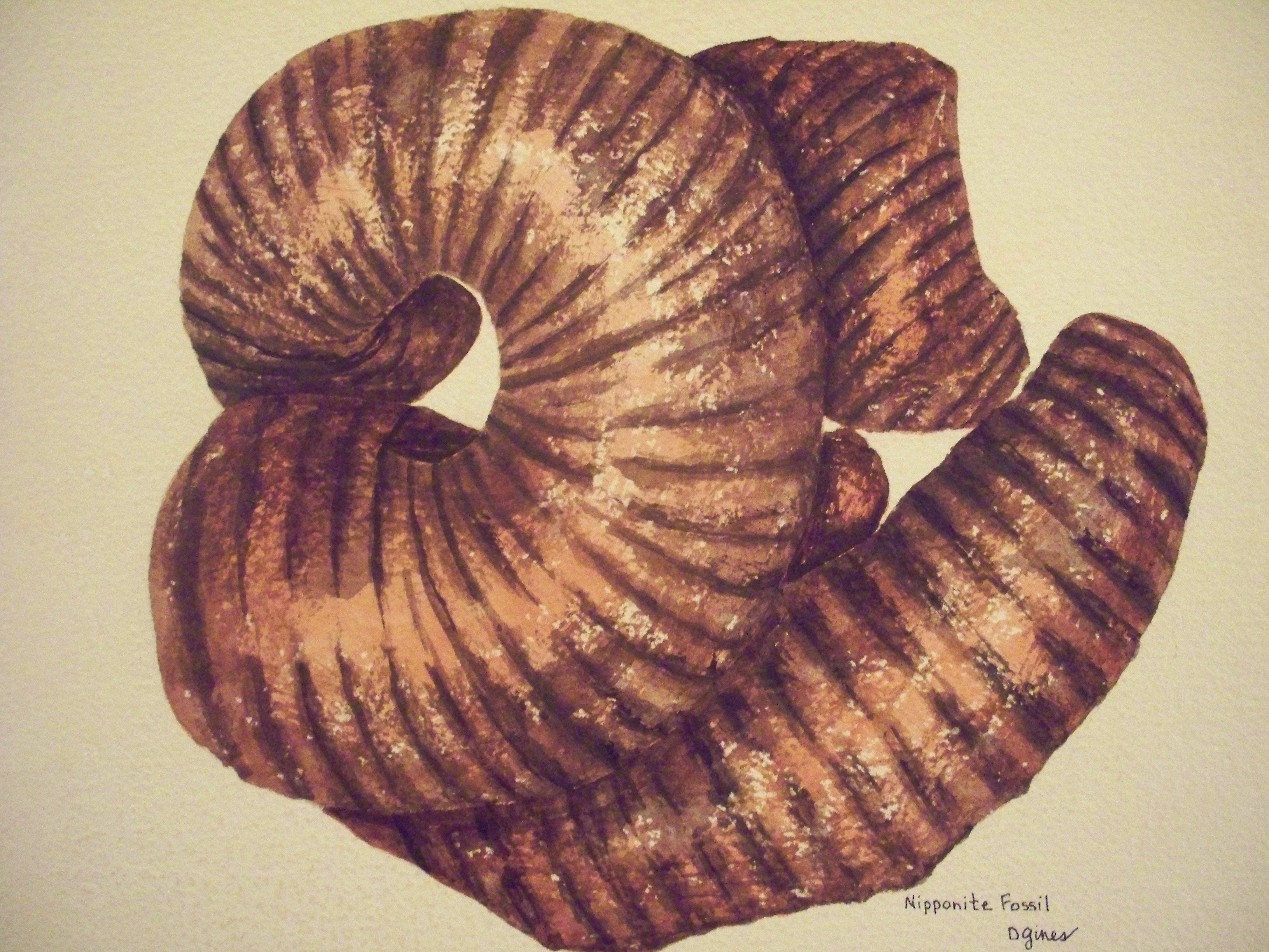 Nipponite Fossil, Painting, Watercolor on Paper - Art by Deon Gines
