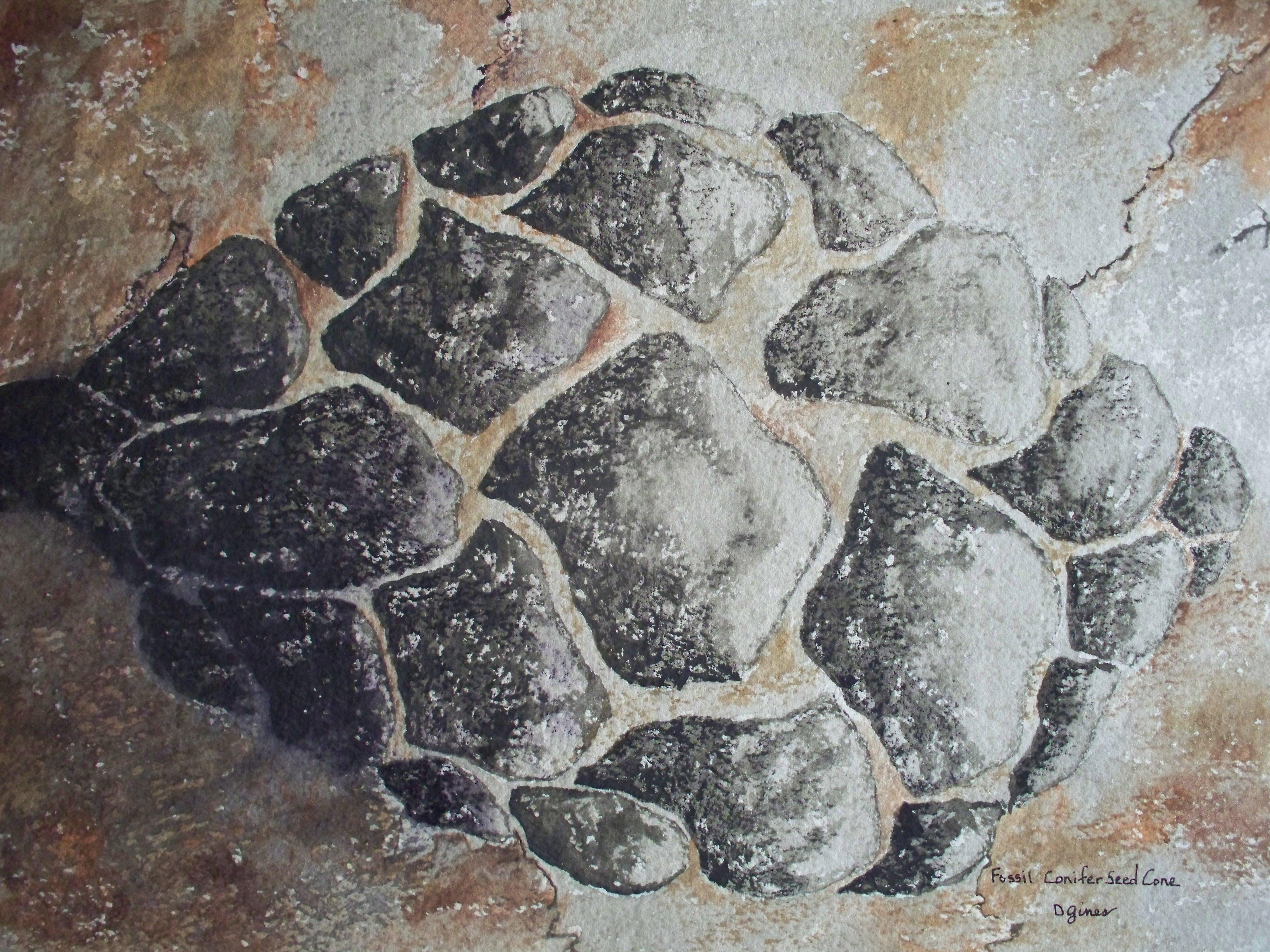 Fossil Conifer Seed Cone, Painting, Watercolor on Paper - Art by Deon Gines