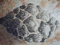Cono de Semilla de Conífera Fósil, Pintura, Acuarela sobre Papel