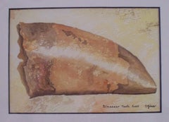 Dinosaur Tooth Fossil, Painting, Watercolor on Paper