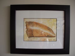 Dinosaur Tooth Fossil, Painting, Watercolor on Paper