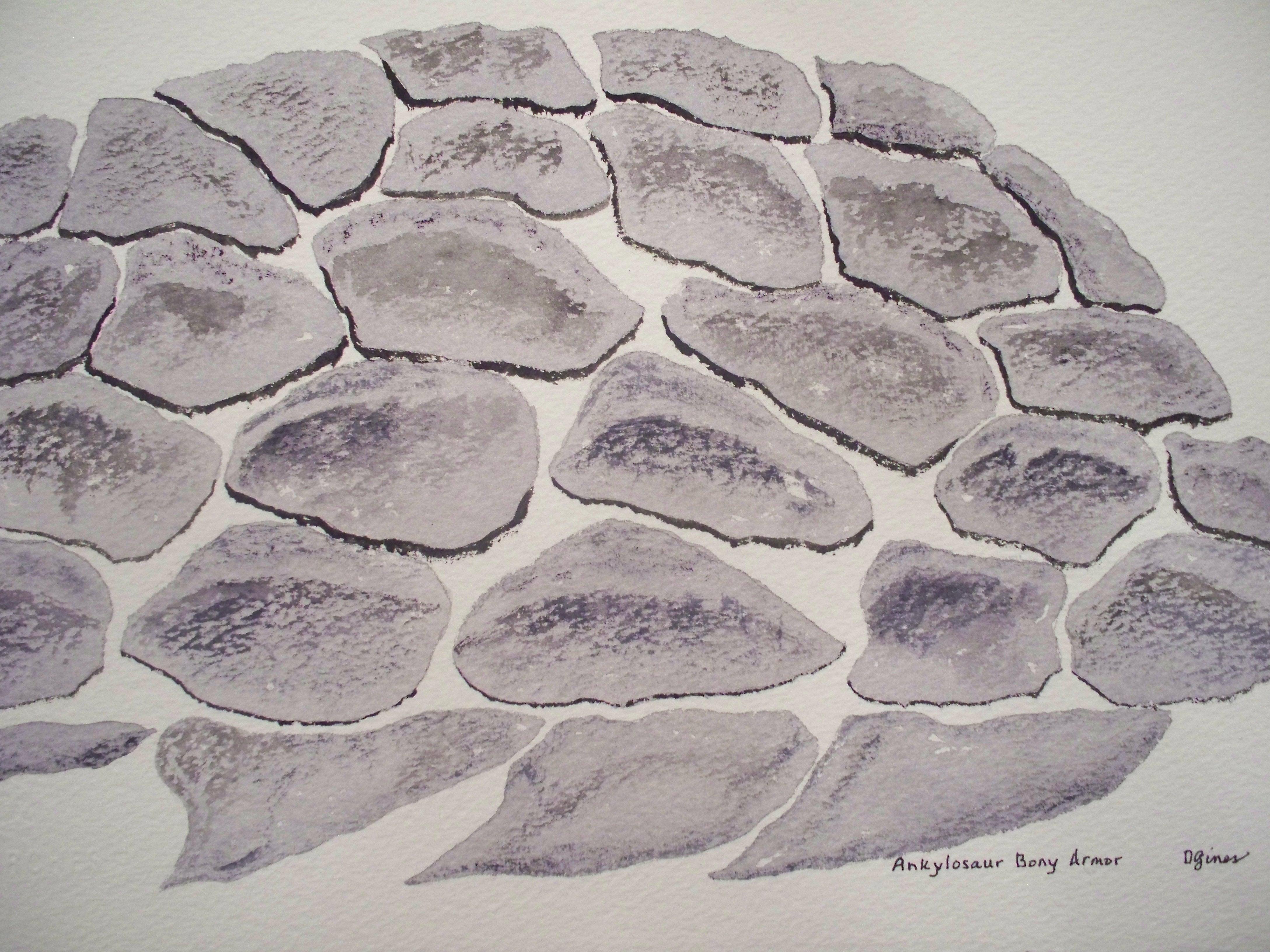 Ankylosaur Bony Armor, Painting, Watercolor on Paper