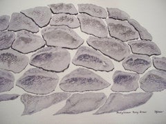 Armadura ósea de anquilosaurio, Pintura, Acuarela sobre papel