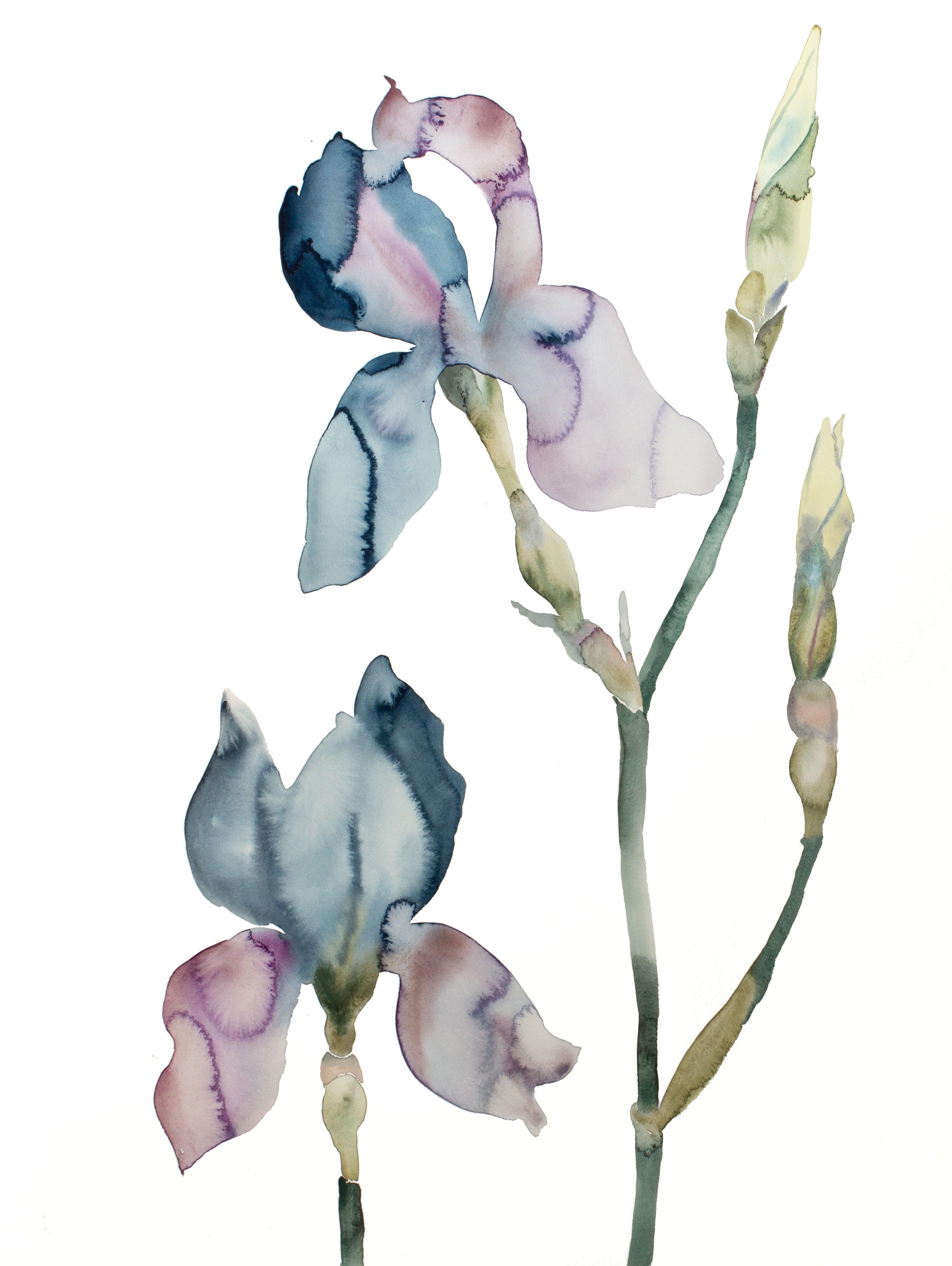 Iris Nr. 196, Gemälde, Aquarell auf Papier – Art von Elizabeth Becker
