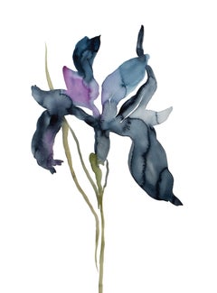 Iris No. 195, Painting, Watercolor on Paper