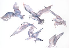 Seagulls in Flight, Painting, Watercolor on Paper