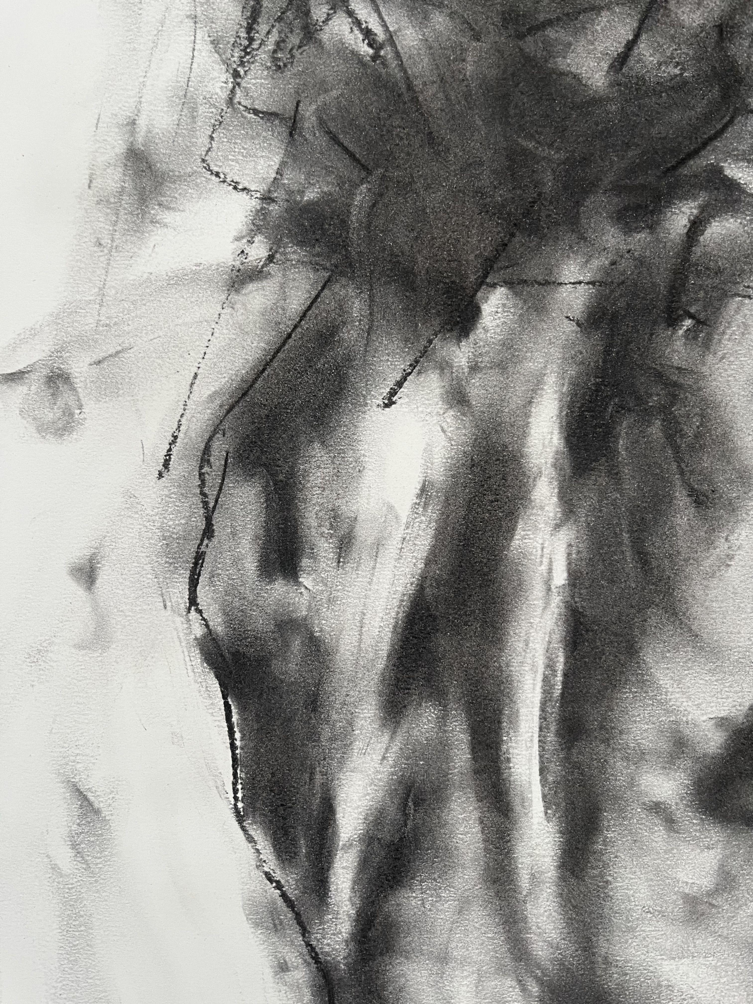 Original charcoal drawing on paper by James Shipton  My works are heavily influenced by the art work of Degas and Gustav Klimt.    My desire is to capture the human form, whilst portraying human emotion. I achieve this through a process of capturing