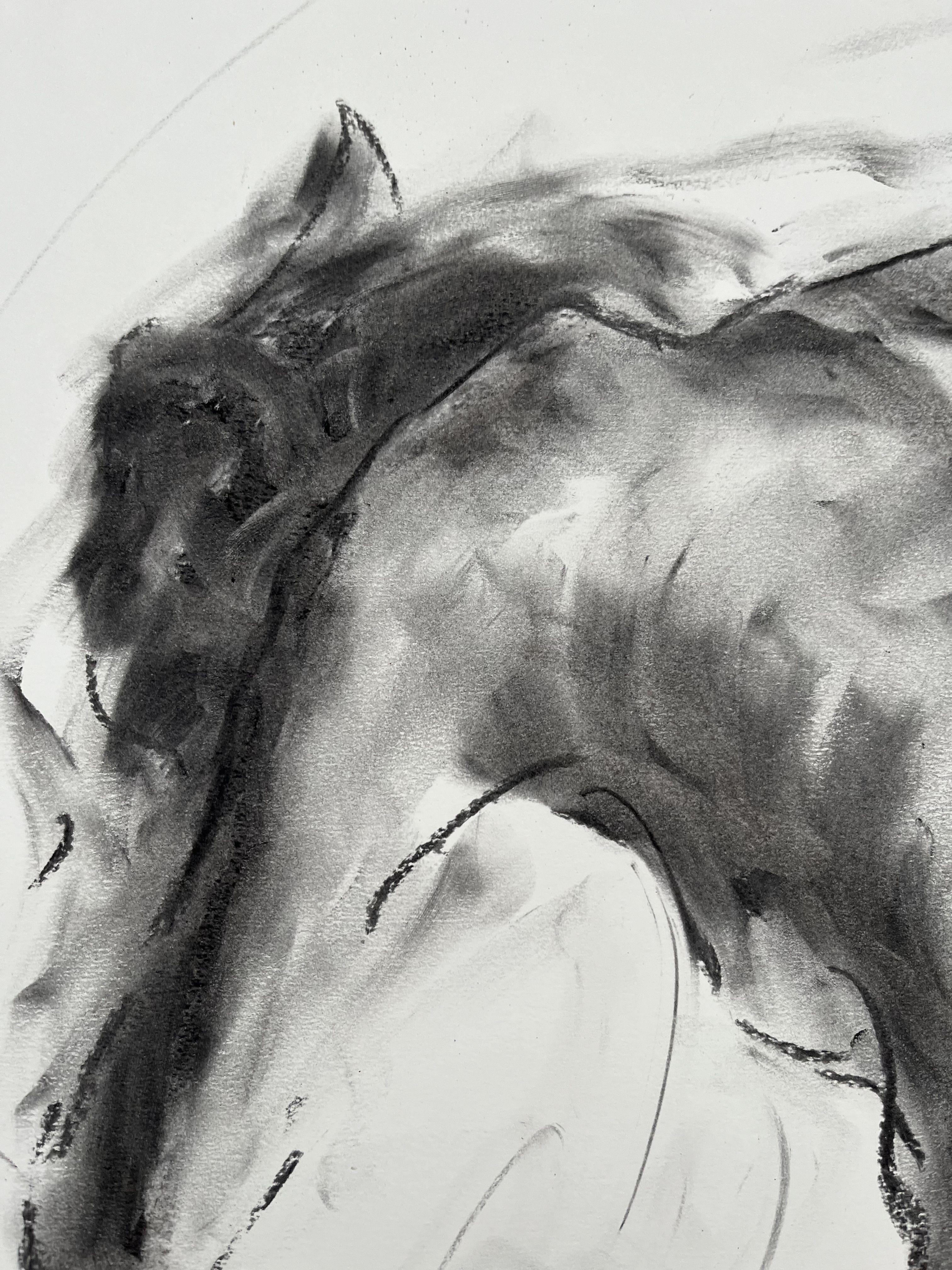 Connection, Drawing, Charcoal on Paper - Impressionist Art by James Shipton