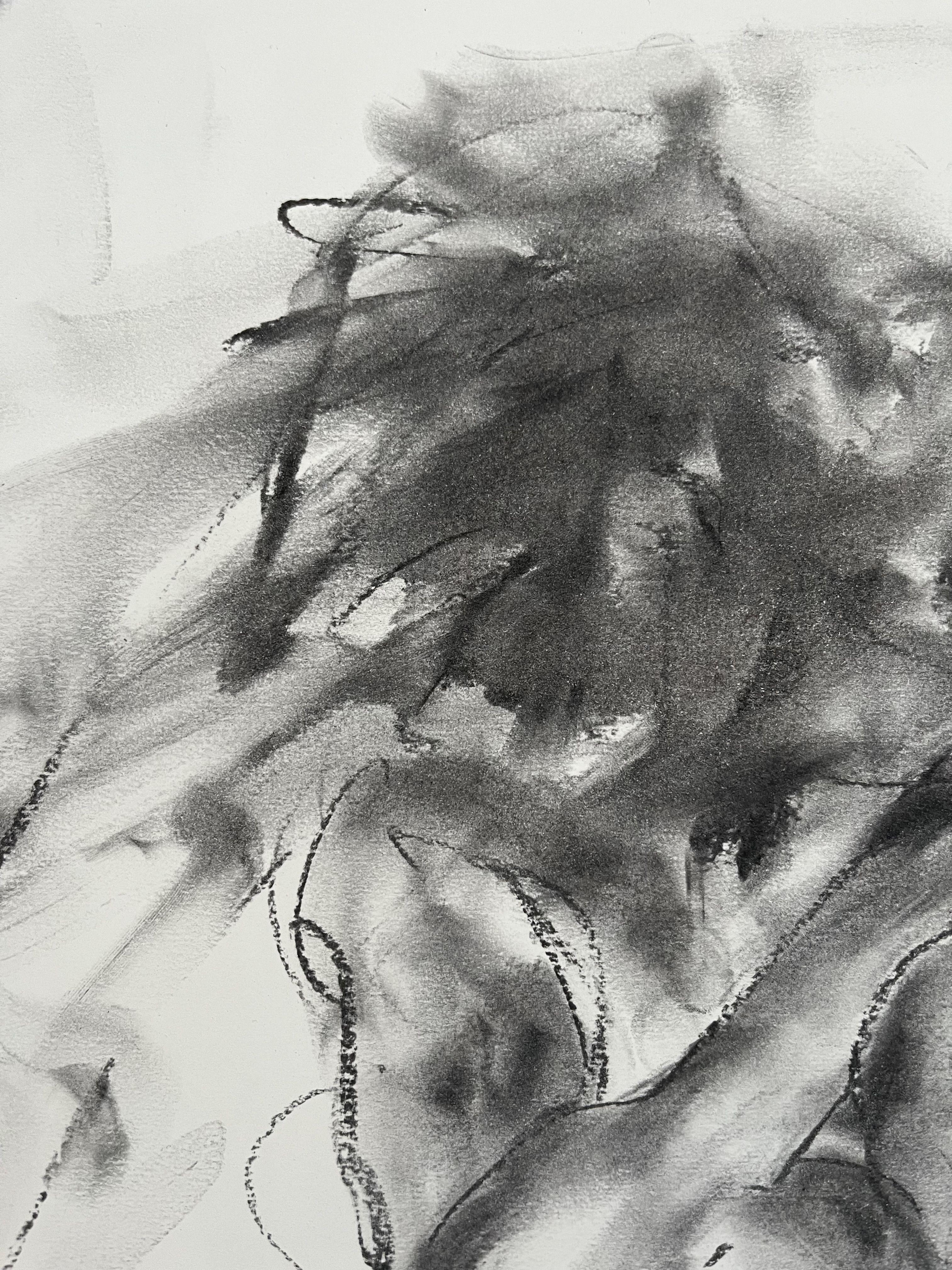 Light, Drawing, Charcoal on Paper - Impressionist Art by James Shipton