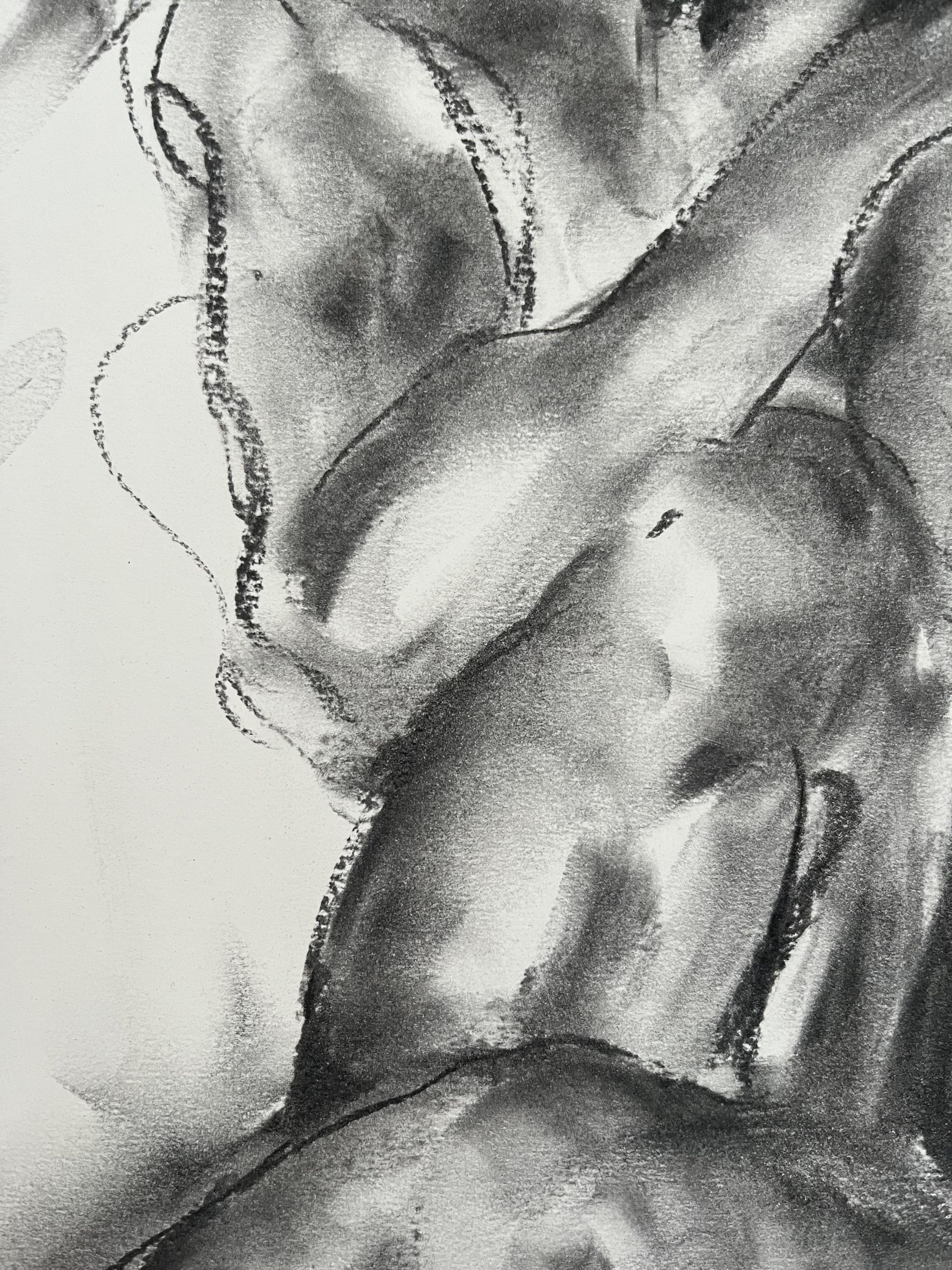 Original charcoal drawing on paper by James Shipton  My works are heavily influenced by the art work of Degas and Gustav Klimt.    My desire is to capture the human form, whilst portraying human emotion. I achieve this through a process of capturing