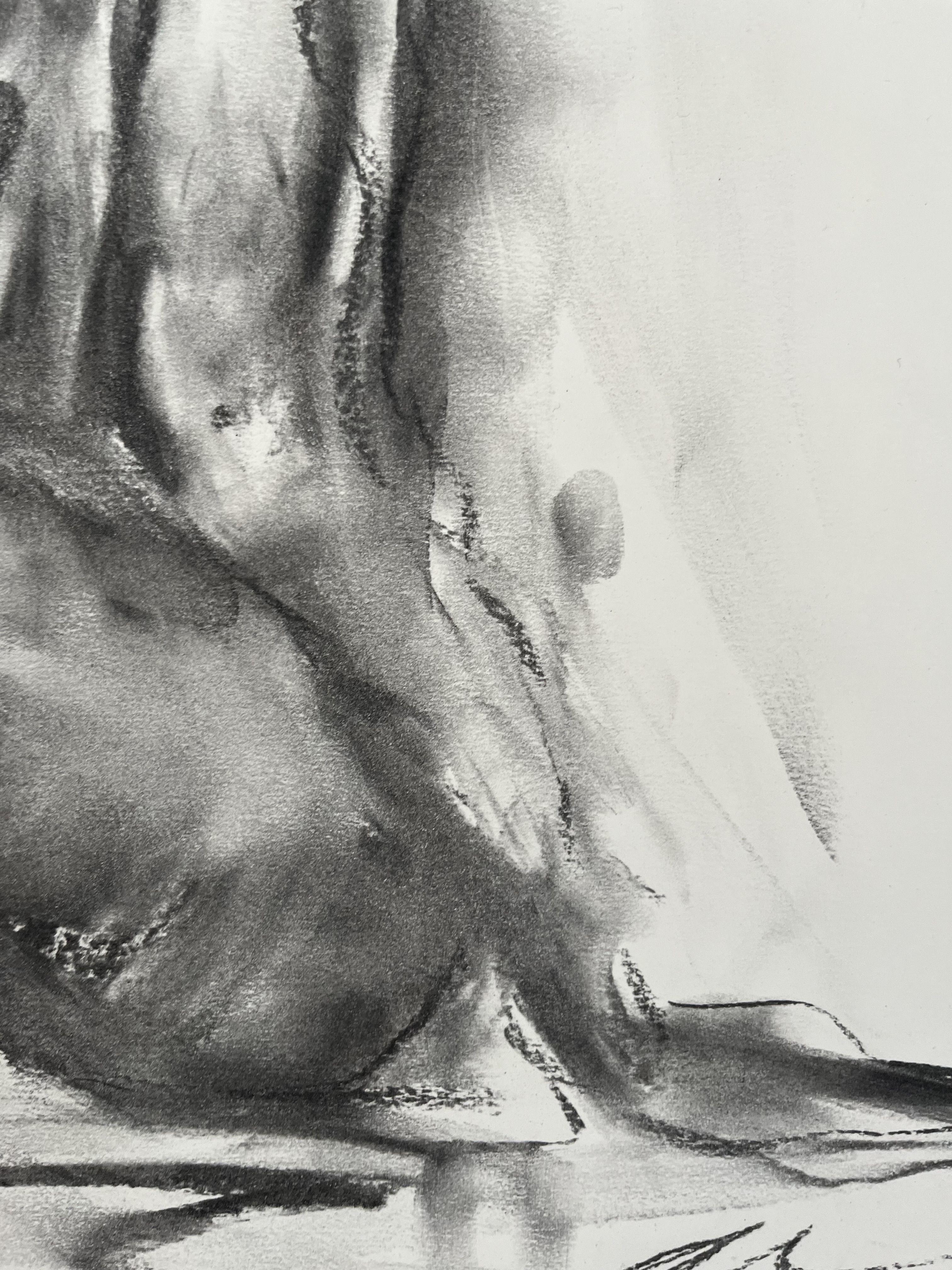 Light, Drawing, Charcoal on Paper For Sale 2