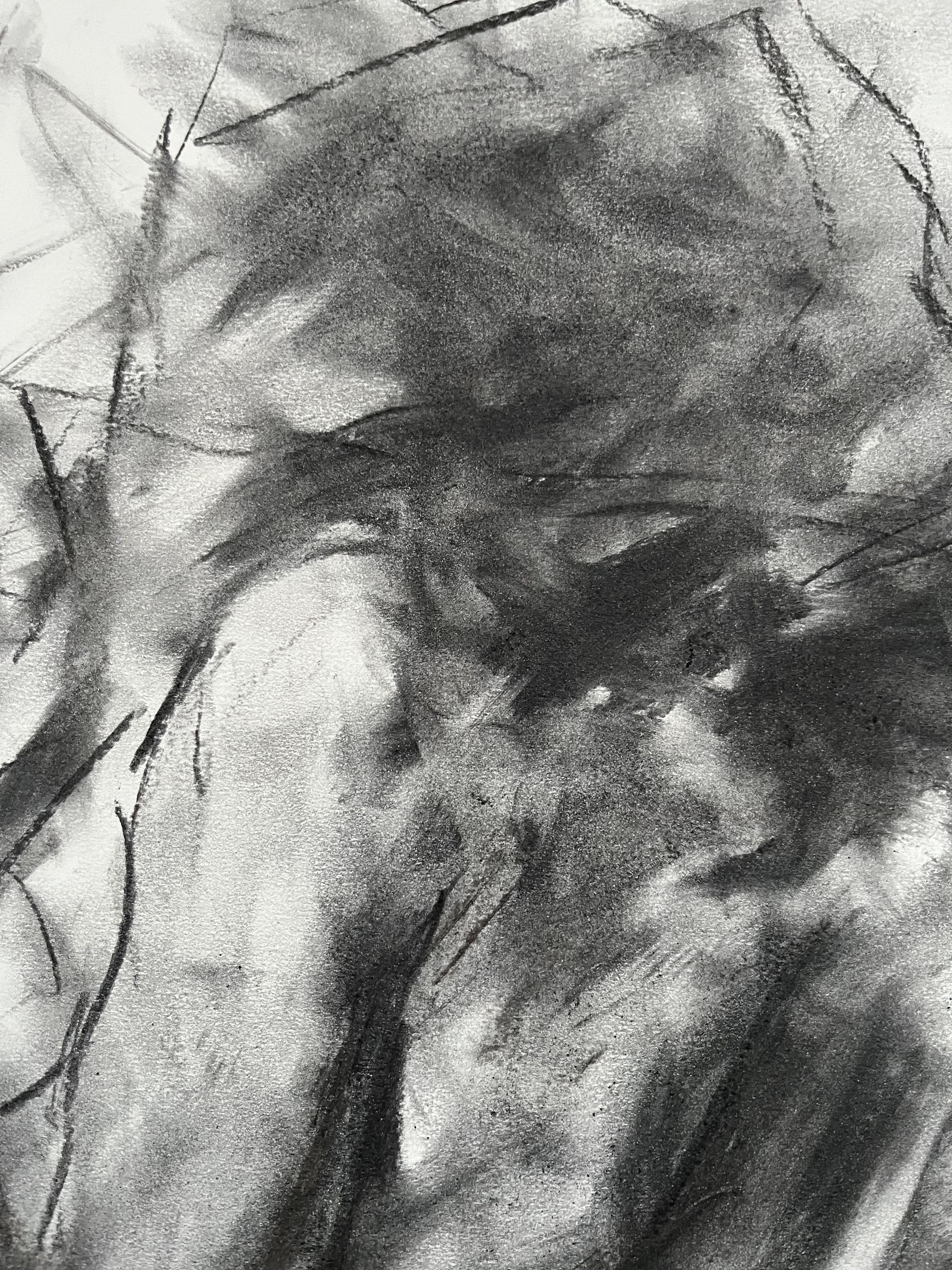 Appearance, Drawing, Charcoal on Paper - Impressionist Art by James Shipton