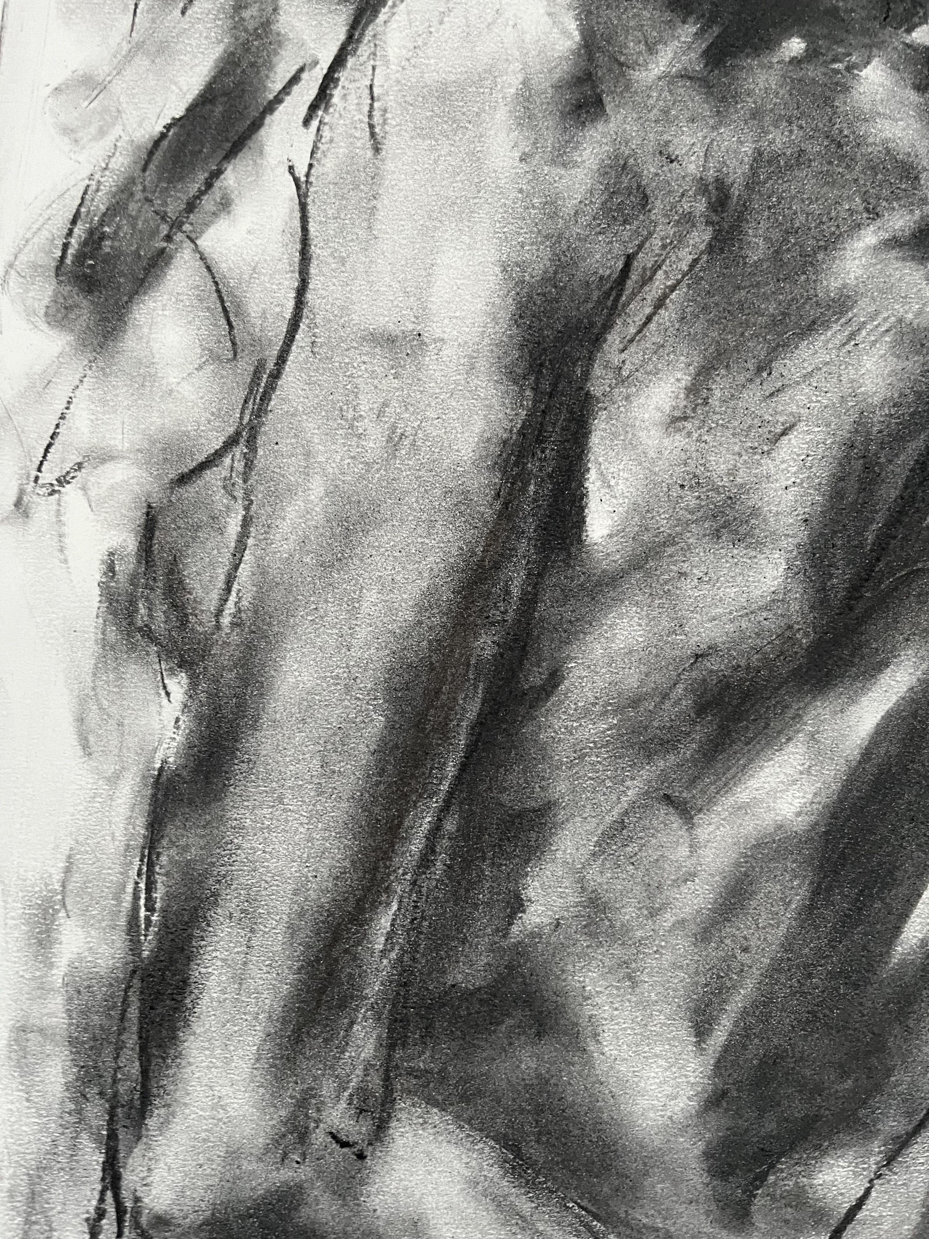 Original charcoal drawing on paper by James Shipton  My works are heavily influenced by the art work of Degas and Gustav Klimt.    My desire is to capture the human form, whilst portraying human emotion. I achieve this through a process of capturing