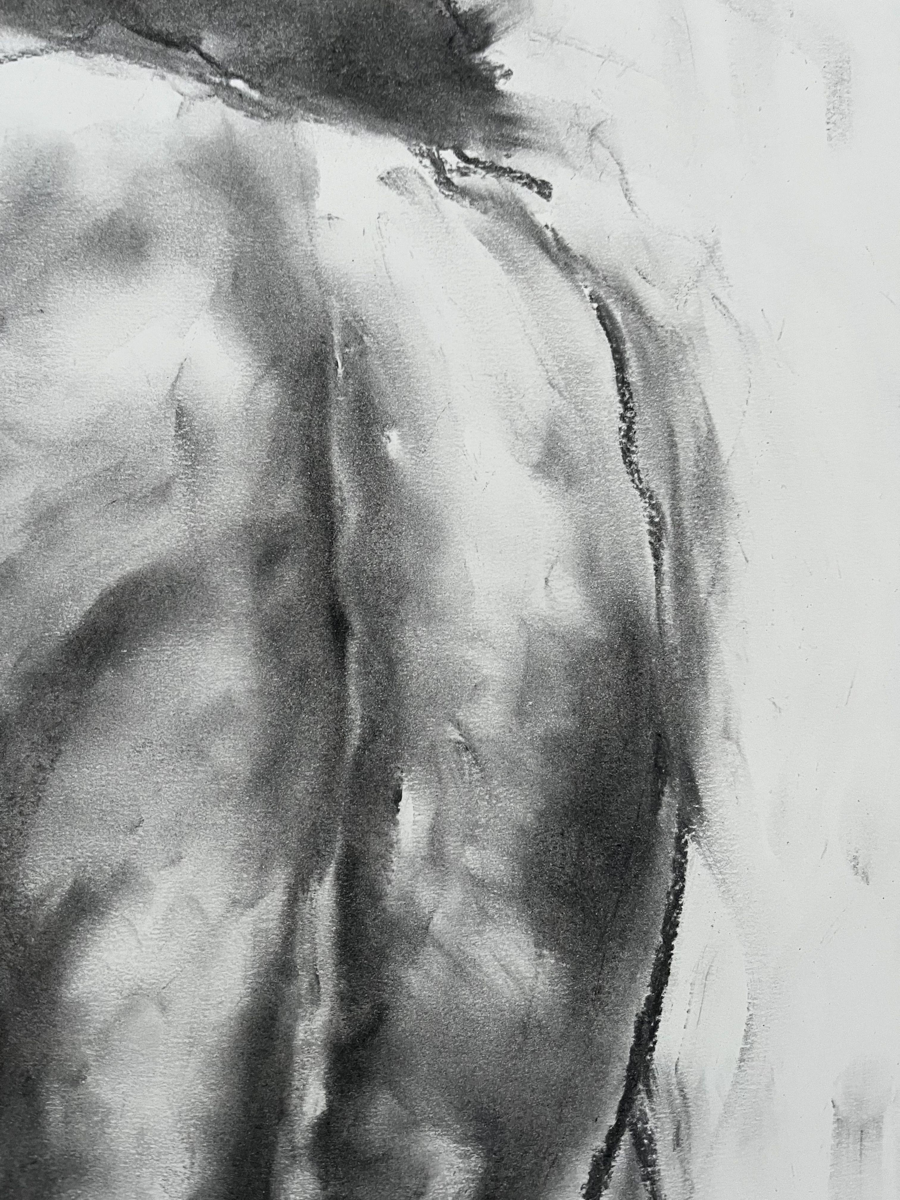 Original charcoal drawing on paper by James Shipton  My works are heavily influenced by the art work of Degas and Gustav Klimt.    My desire is to capture the human form, whilst portraying human emotion. I achieve this through a process of capturing