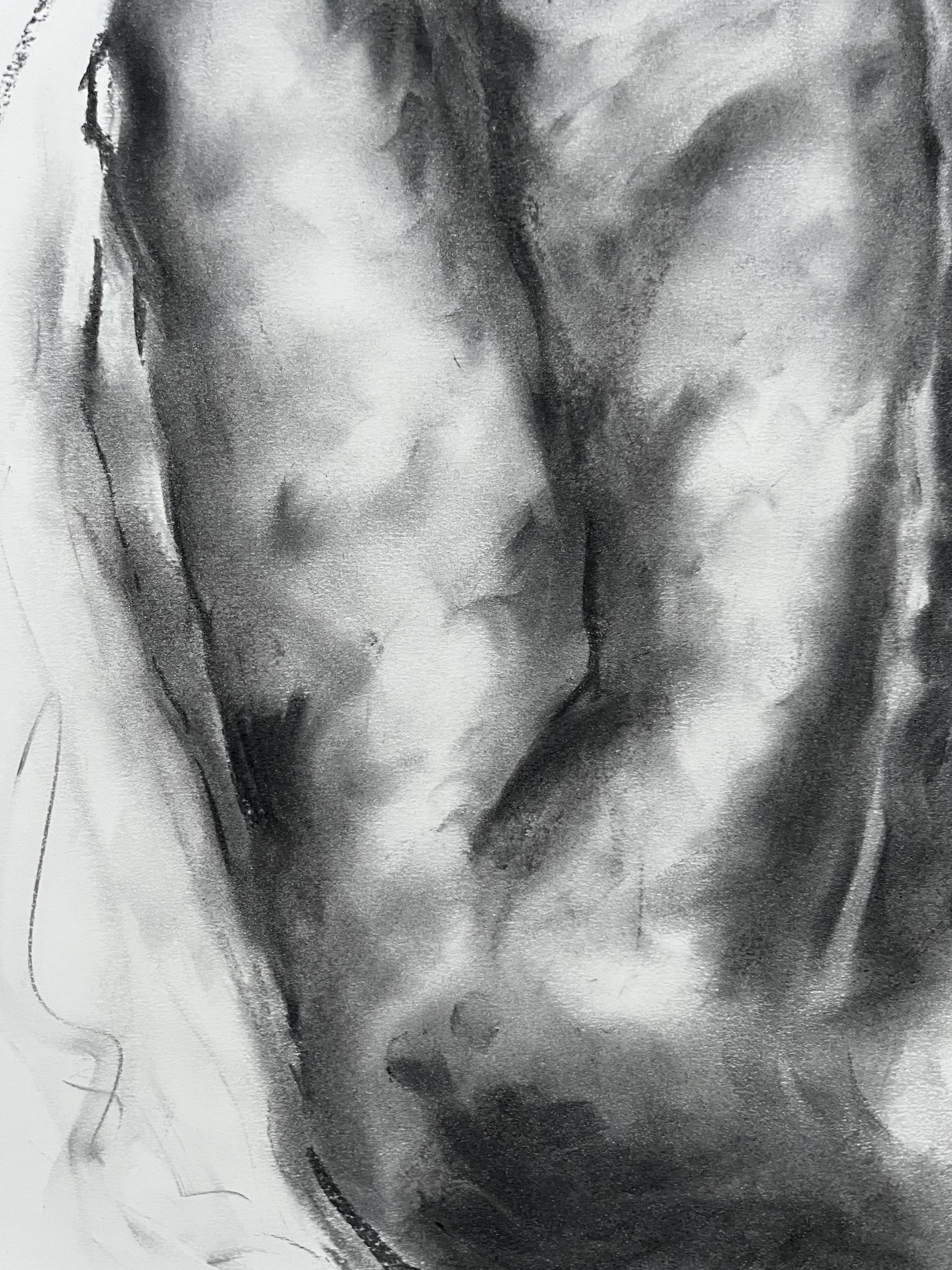 Changes, Drawing, Charcoal on Paper For Sale 1