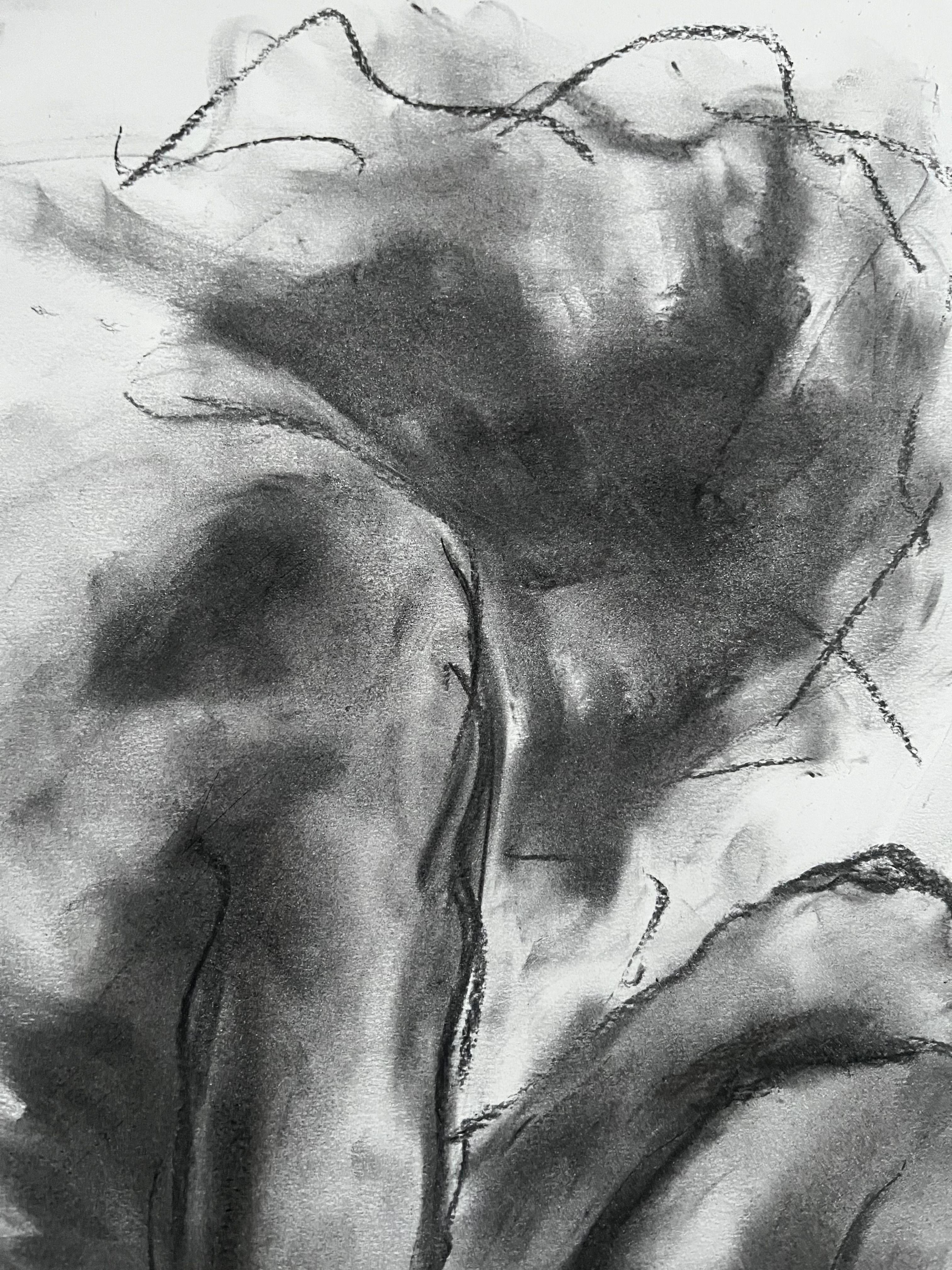 New Dawn, Drawing, Charcoal on Paper - Impressionist Art by James Shipton