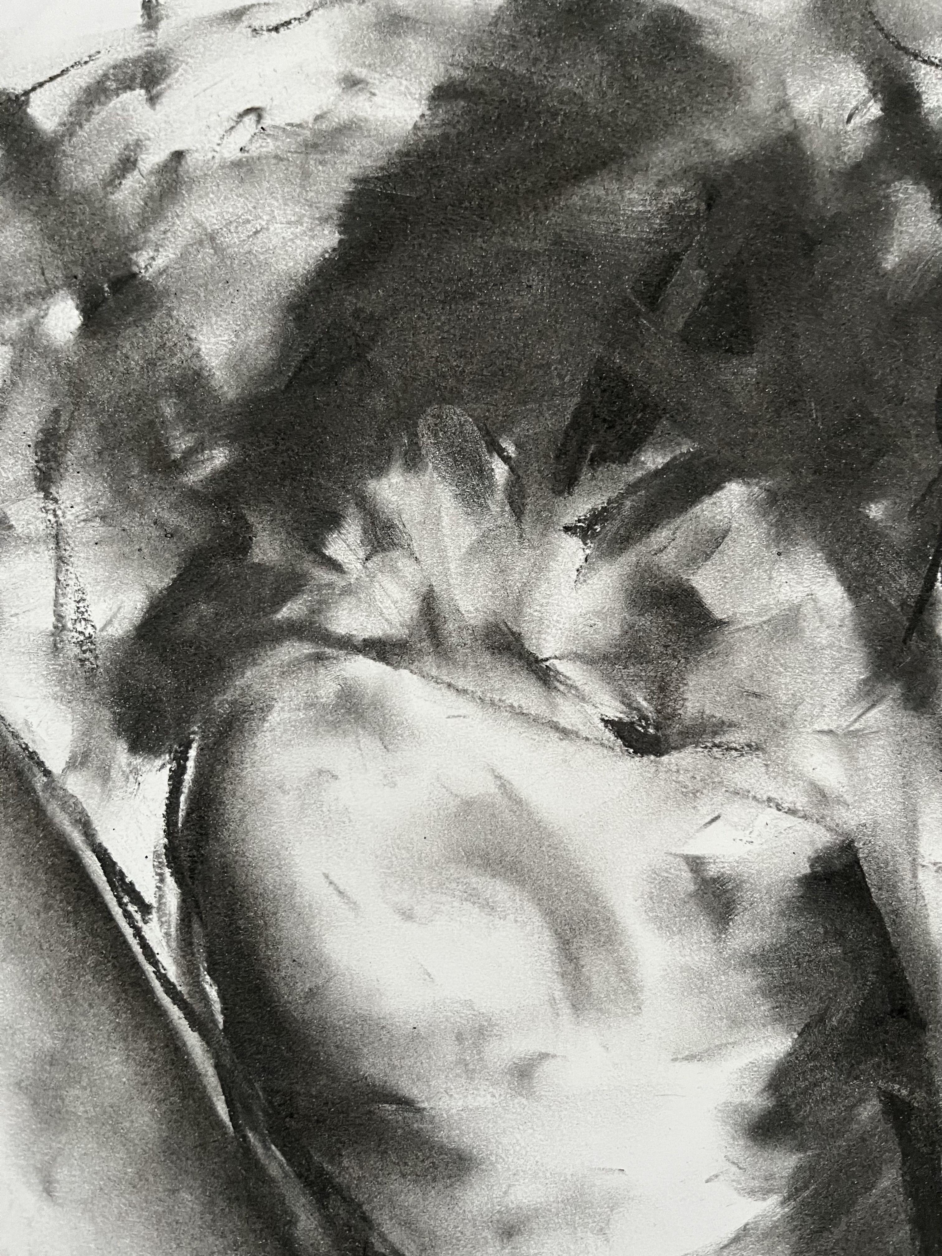 Solace, Drawing, Charcoal on Paper - Impressionist Art by James Shipton