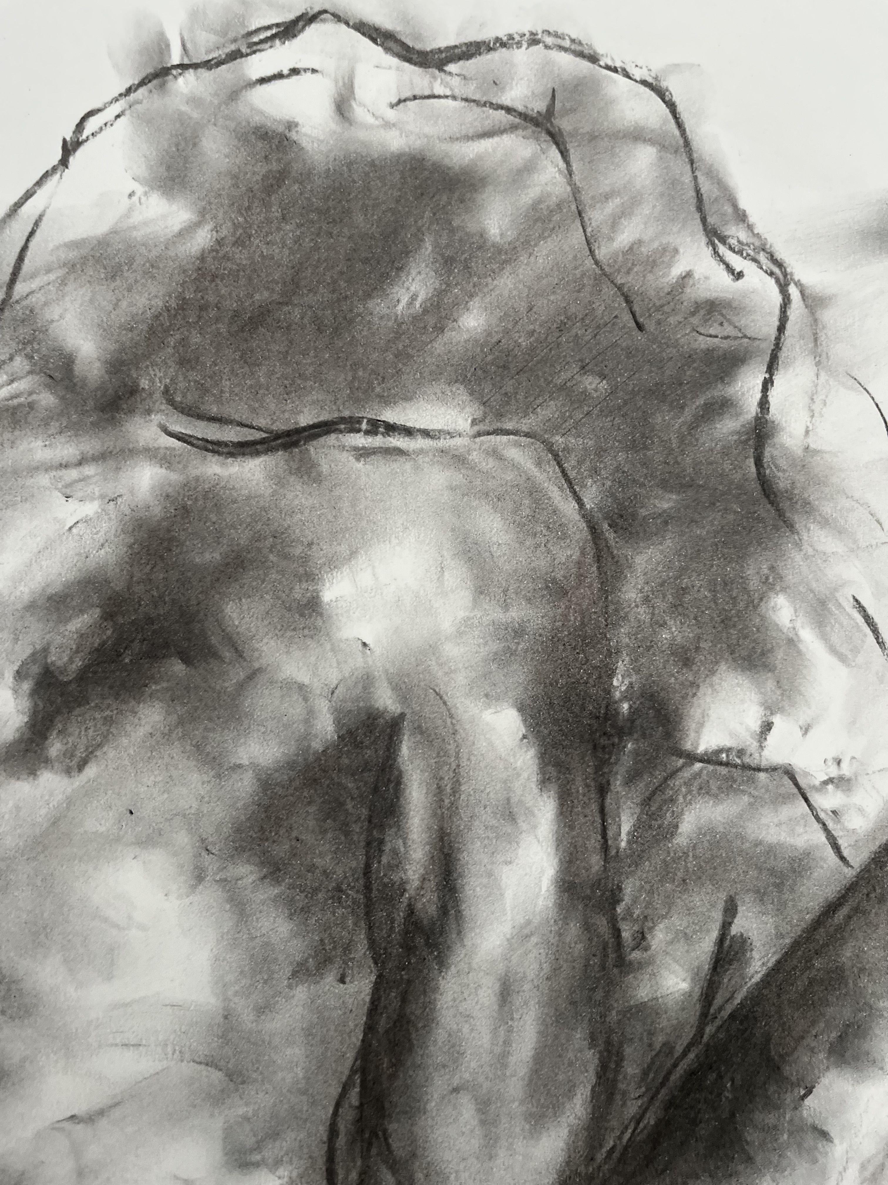 Chosen, Drawing, Charcoal on Paper - Impressionist Art by James Shipton