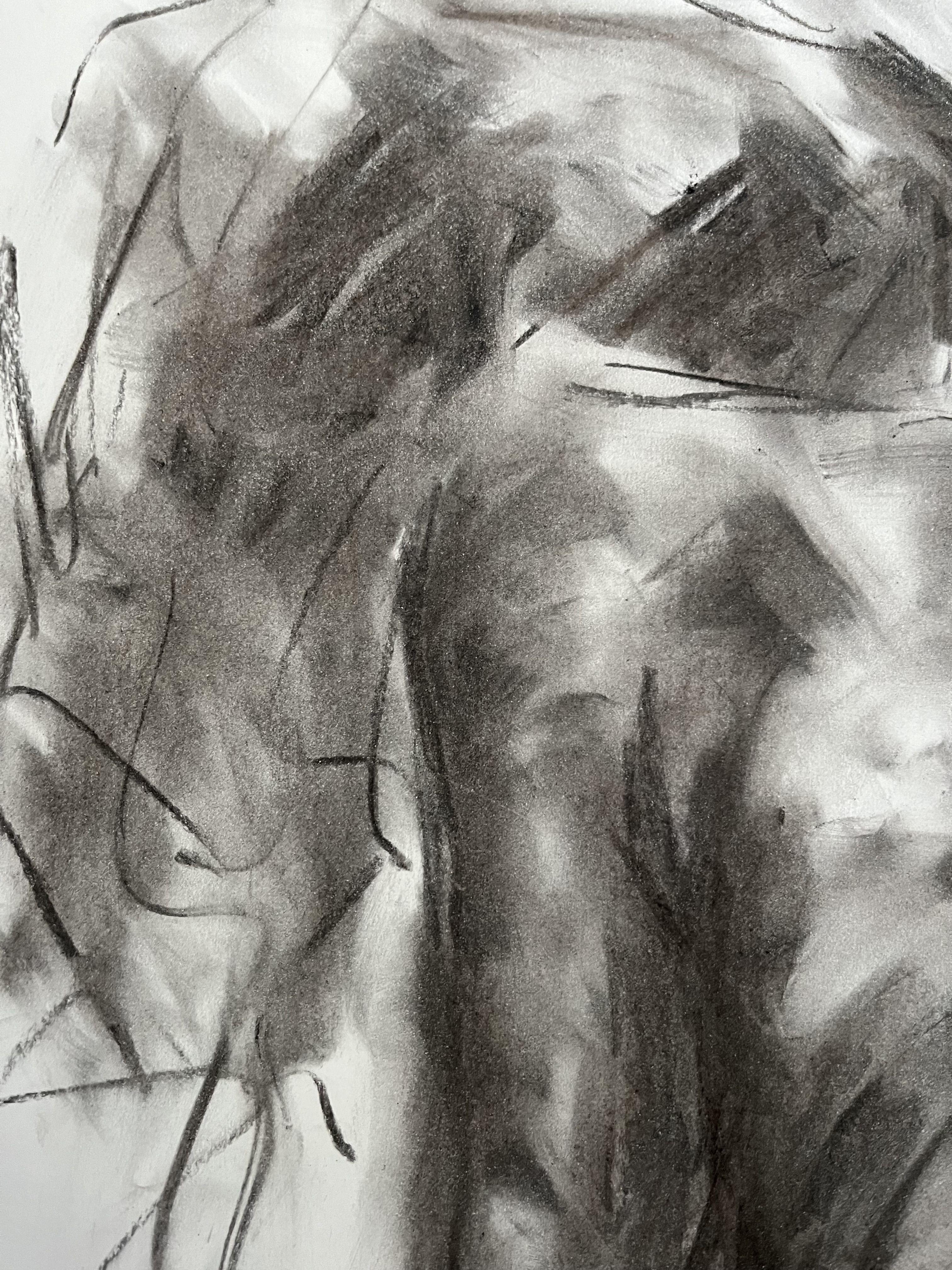Destiny, Drawing, Charcoal on Paper - Impressionist Art by James Shipton