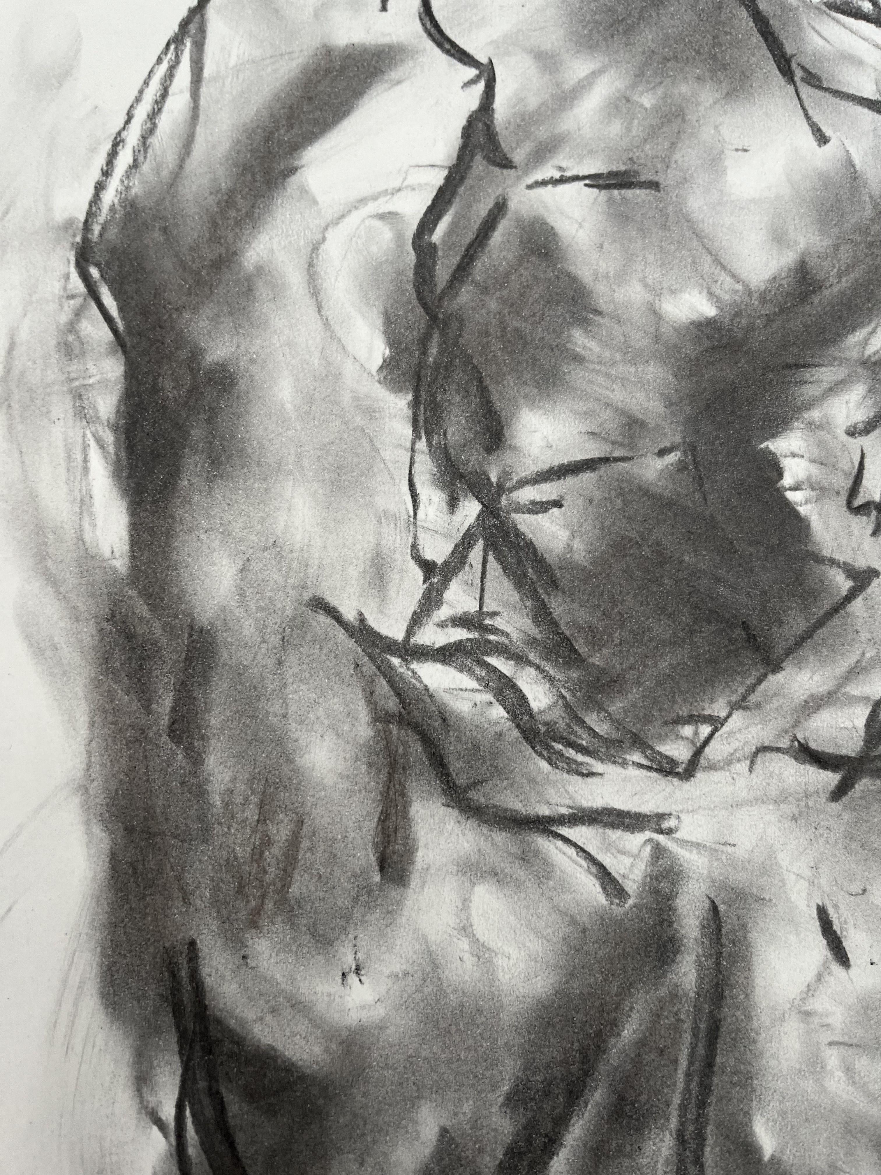 Clarify, Drawing, Charcoal on Paper - Impressionist Art by James Shipton