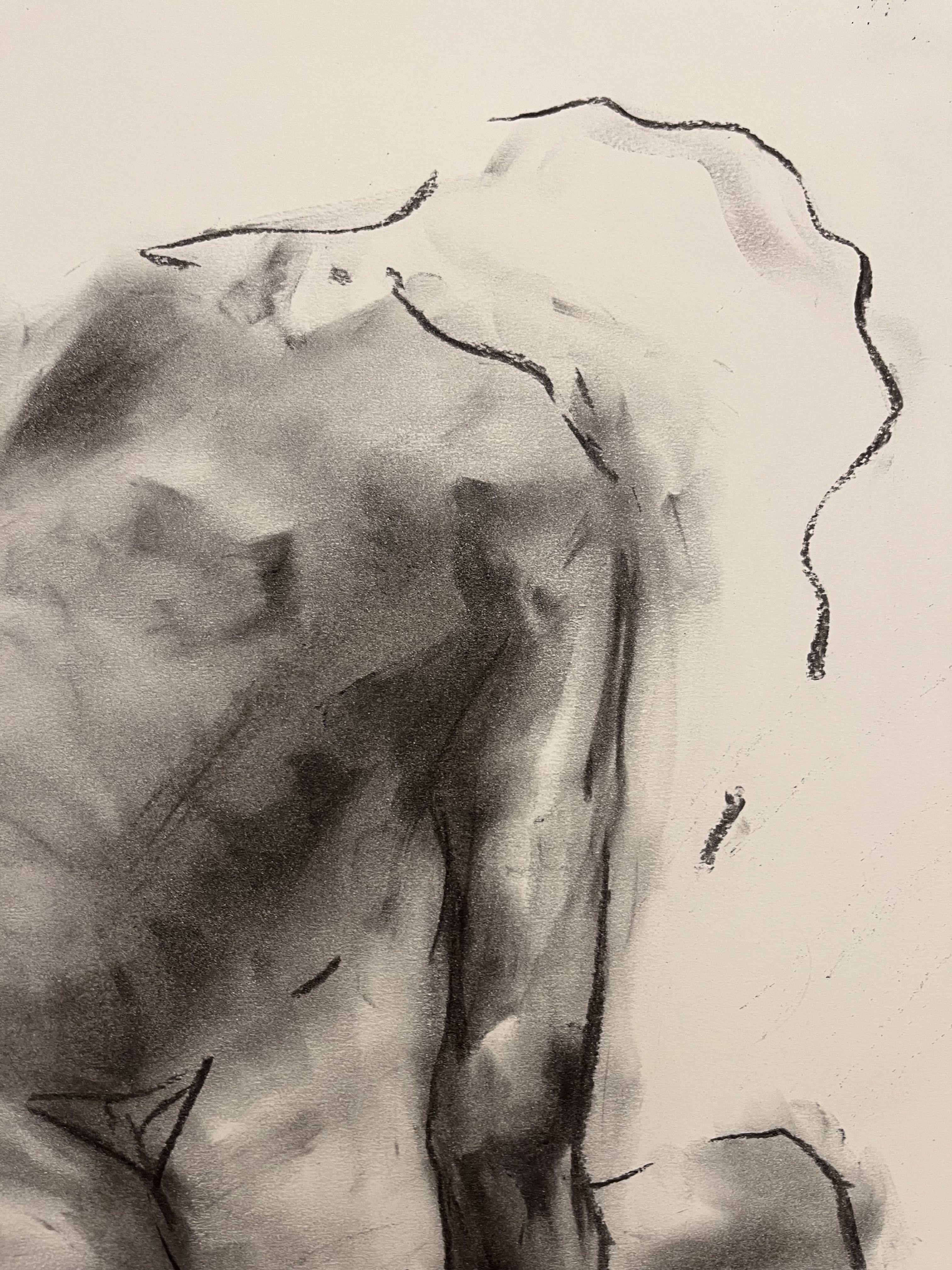 Perceive, Drawing, Charcoal on Paper - Impressionist Art by James Shipton