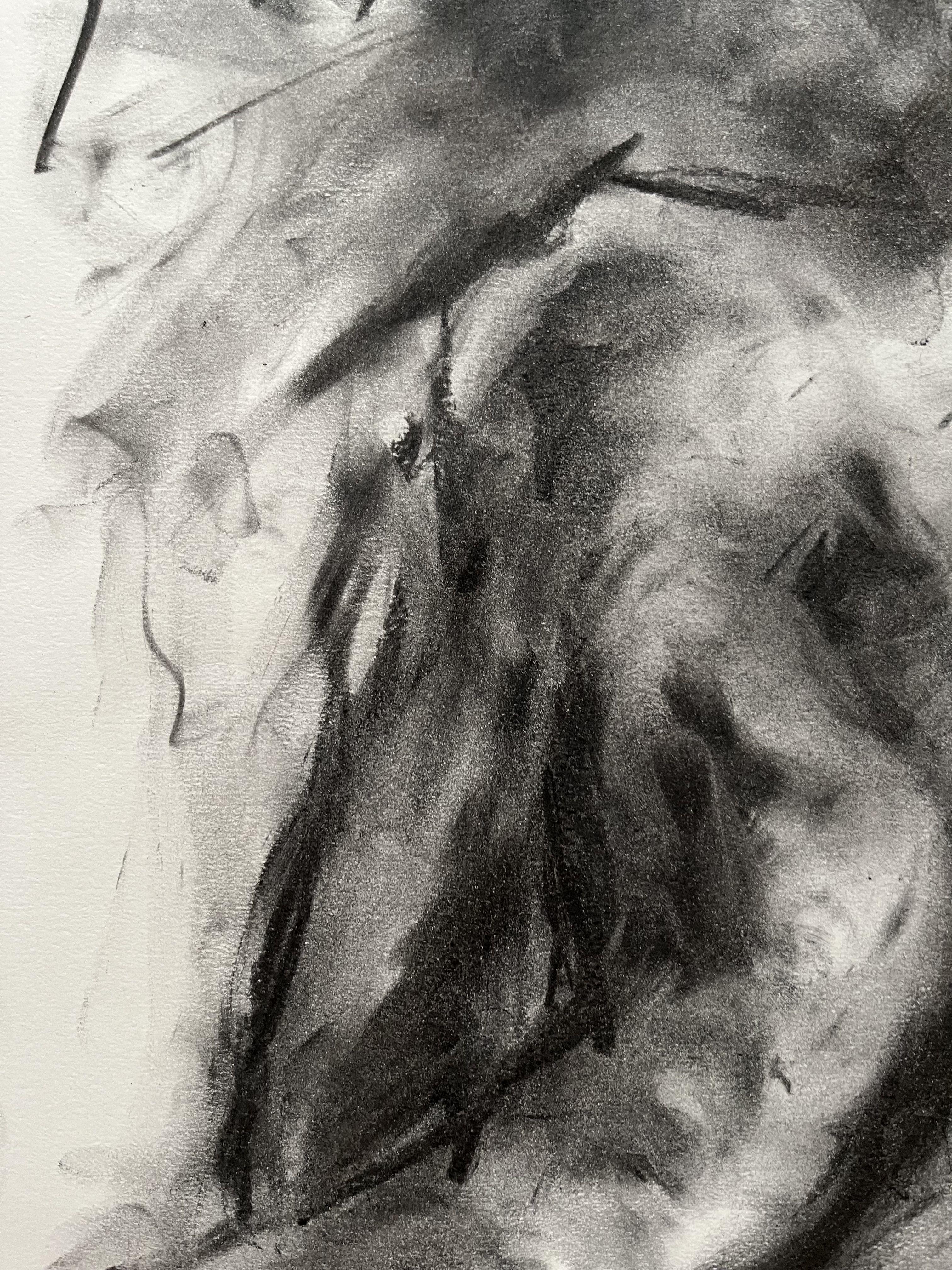 Original charcoal drawing on paper by James Shipton    My desire here is to capture elegance and movement. I achieve this through a process of capturing reality through life drawing using charcoal sketches, breaking it down to deliver an impression