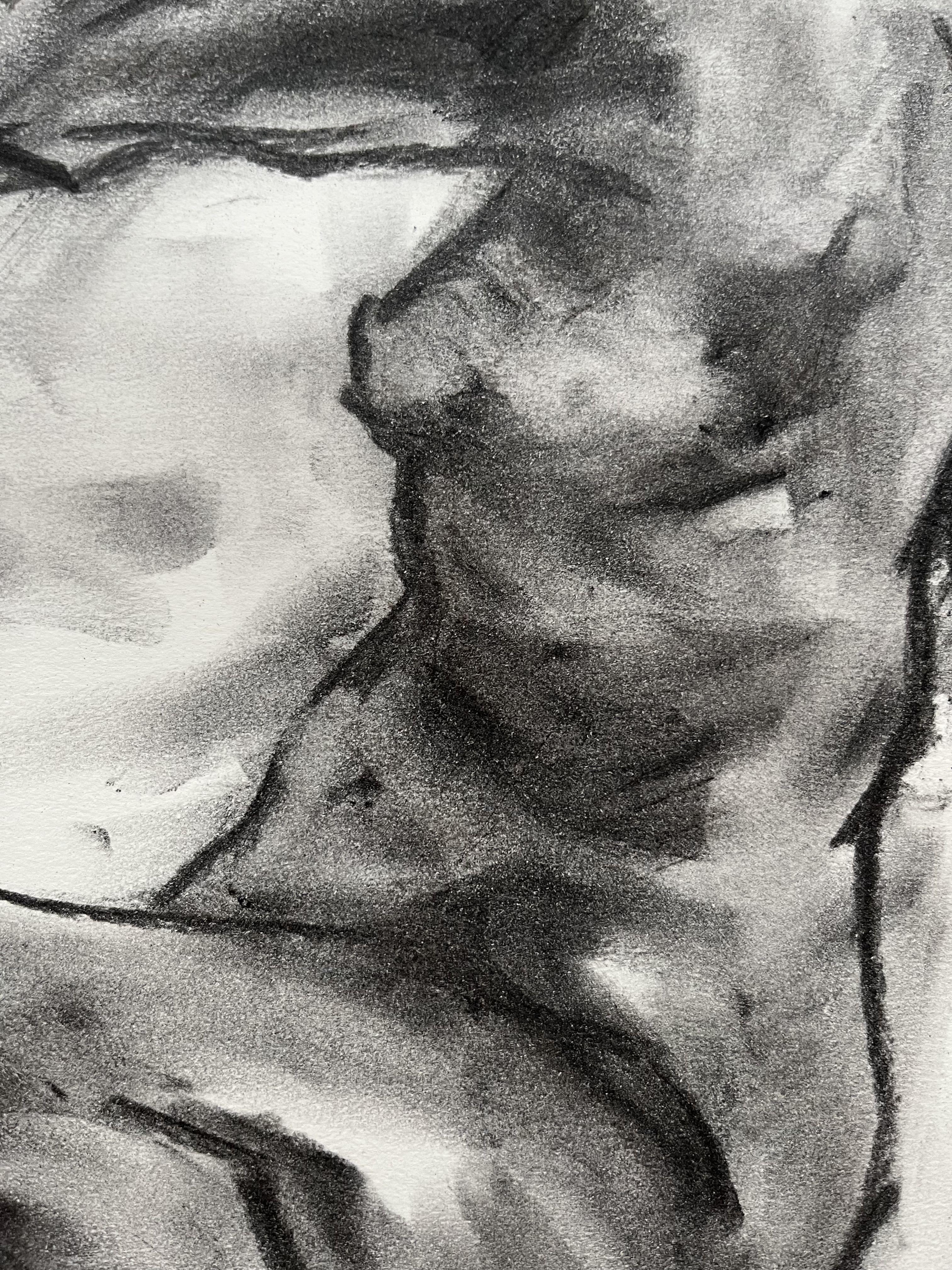 Original charcoal drawing on paper by James Shipton    My desire here is to capture elegance and movement. I achieve this through a process of capturing reality through life drawing using charcoal sketches, breaking it down to deliver an impression