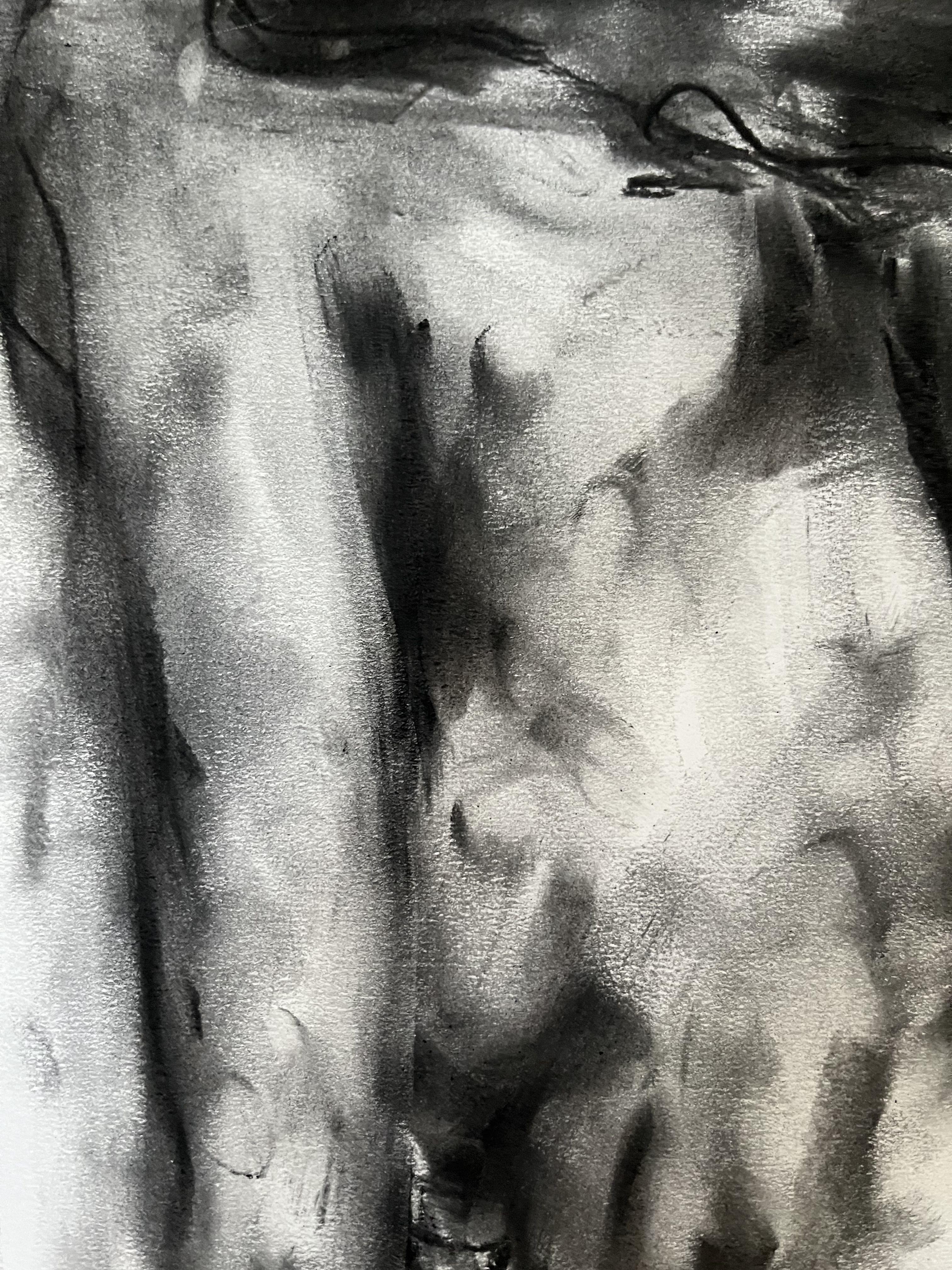 Original charcoal drawing on paper by James Shipton  My works are heavily influenced by the art work of Degas and Gustav Klimt.    My desire is to capture the human form, whilst portraying human emotion.. I achieve this through a process of