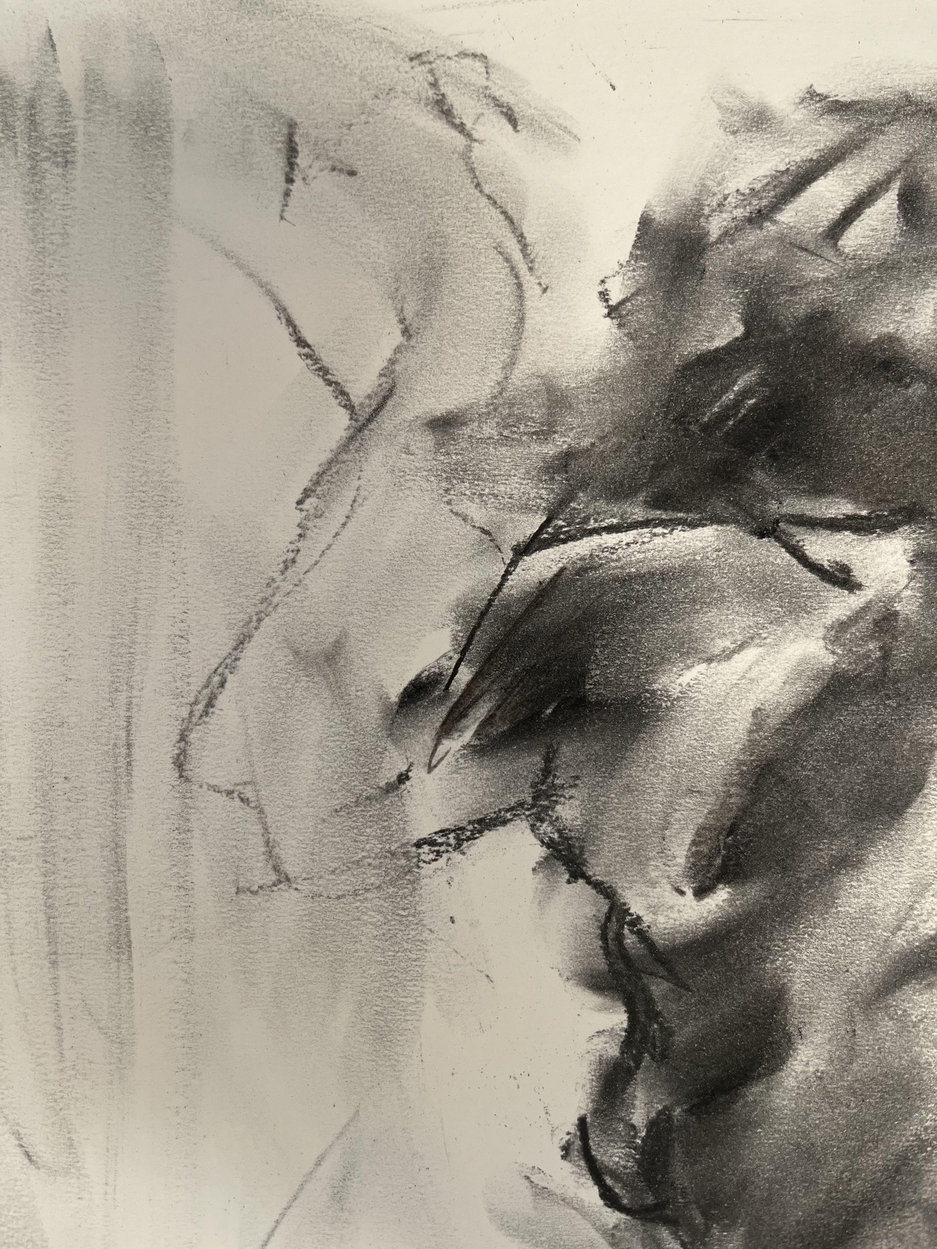 Carefree, Drawing, Charcoal on Paper - Impressionist Art by James Shipton