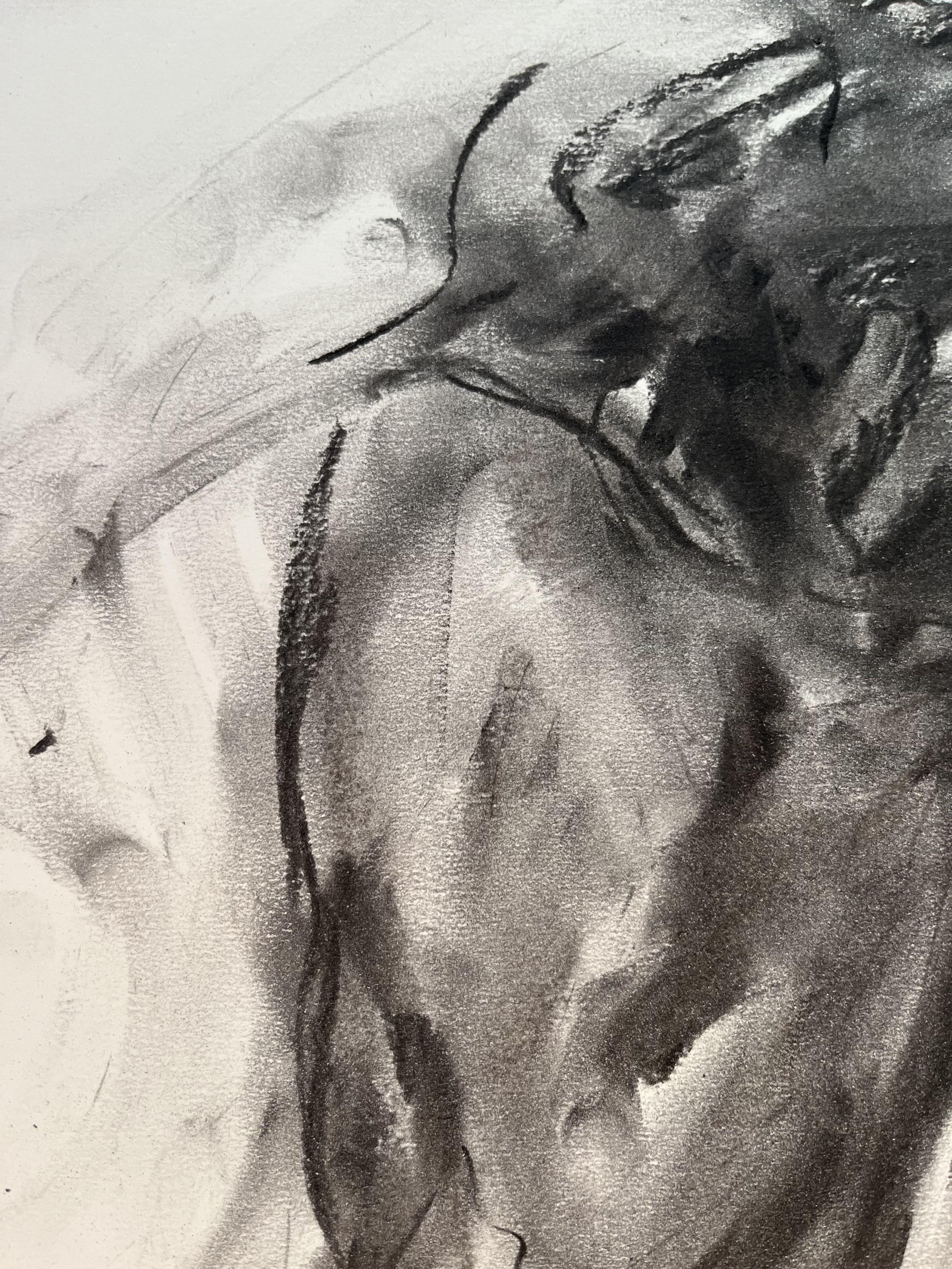 Unknown, Drawing, Charcoal on Paper - Impressionist Art by James Shipton