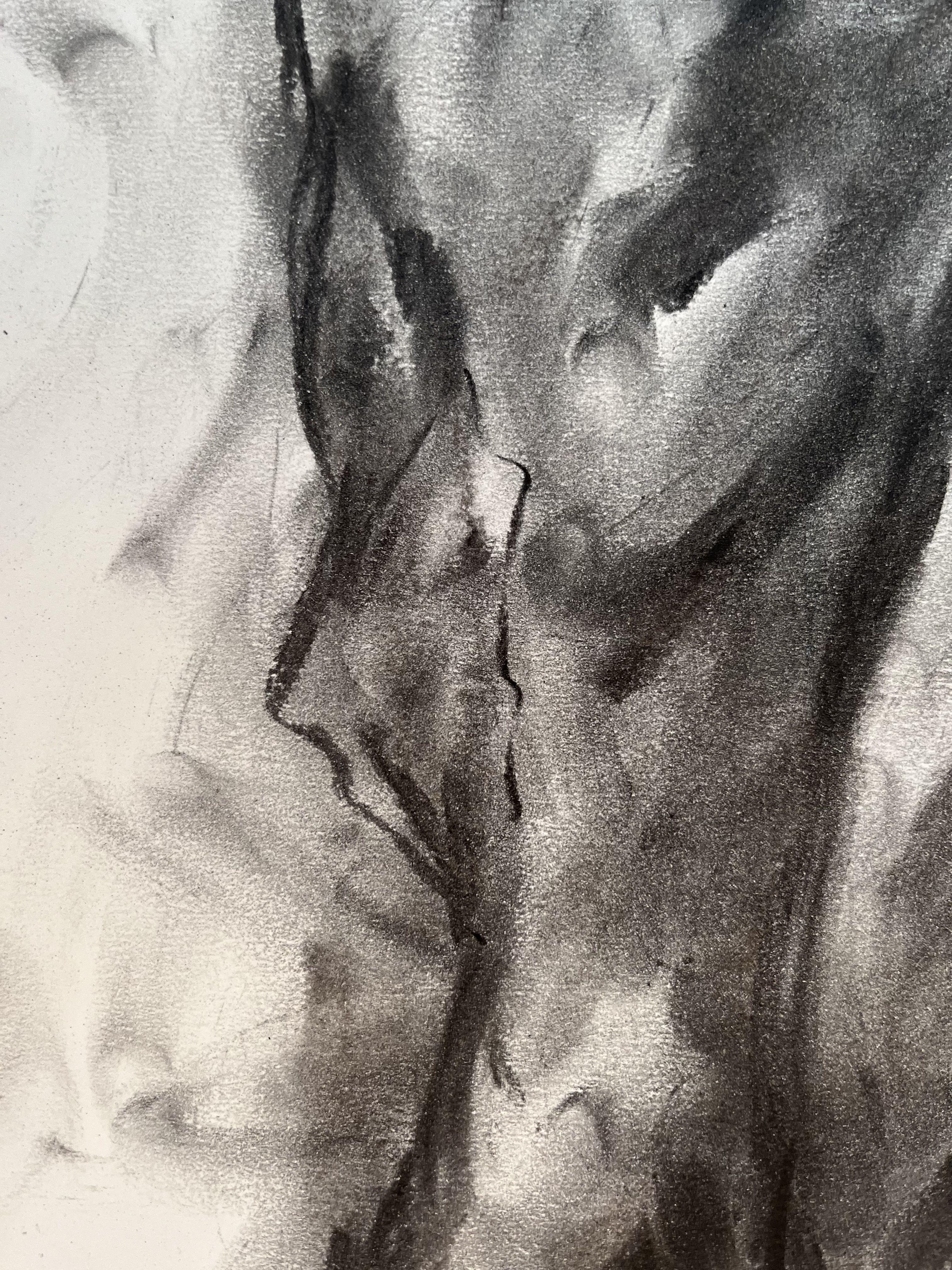 Original charcoal drawing on paper by James Shipton  My works are heavily influenced by the art work of Degas and Gustav Klimt.    My desire is to capture the human form, whilst portraying human emotion. I achieve this through a process of capturing