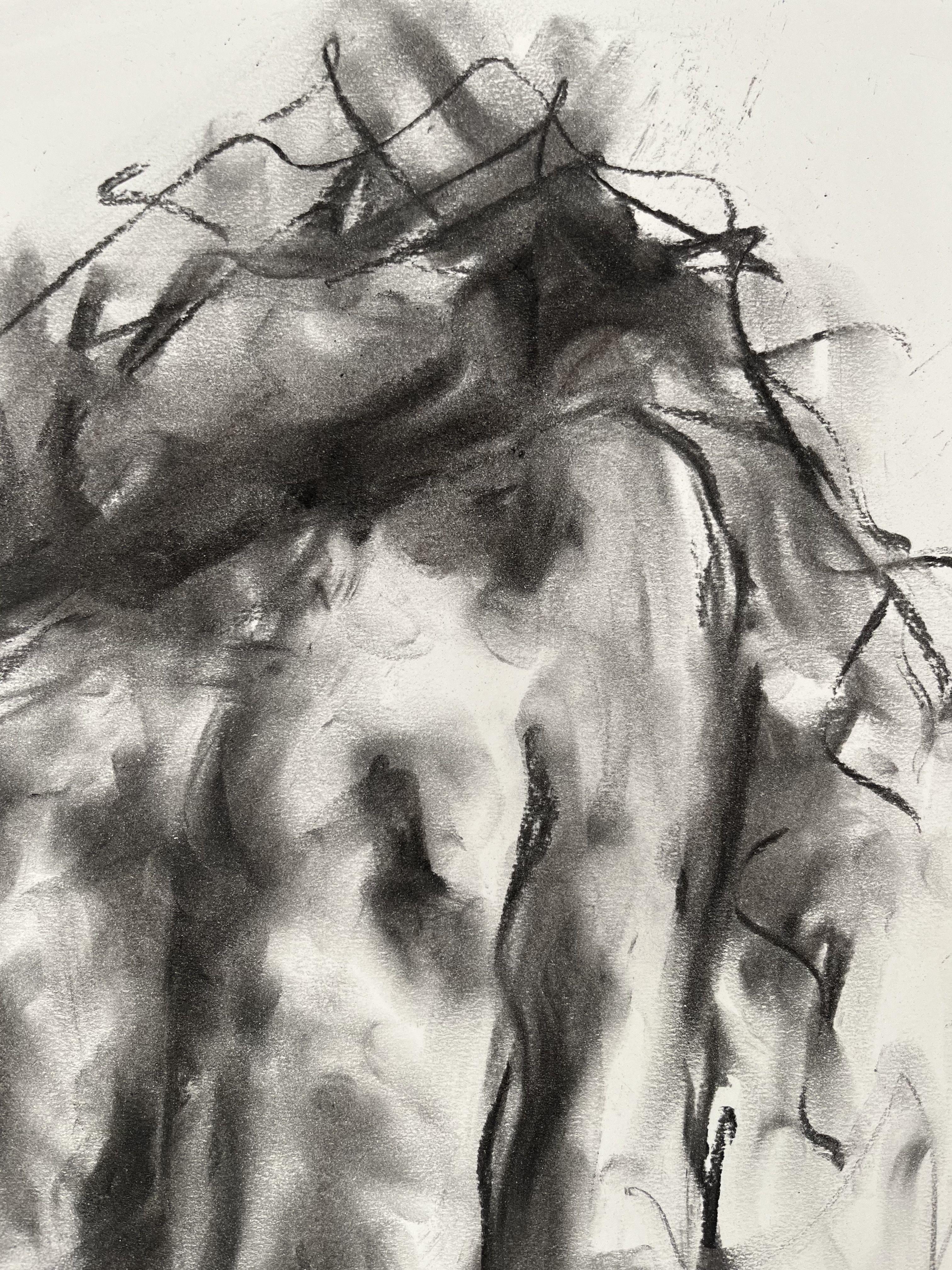 Gravity, Drawing, Charcoal on Paper - Impressionist Art by James Shipton
